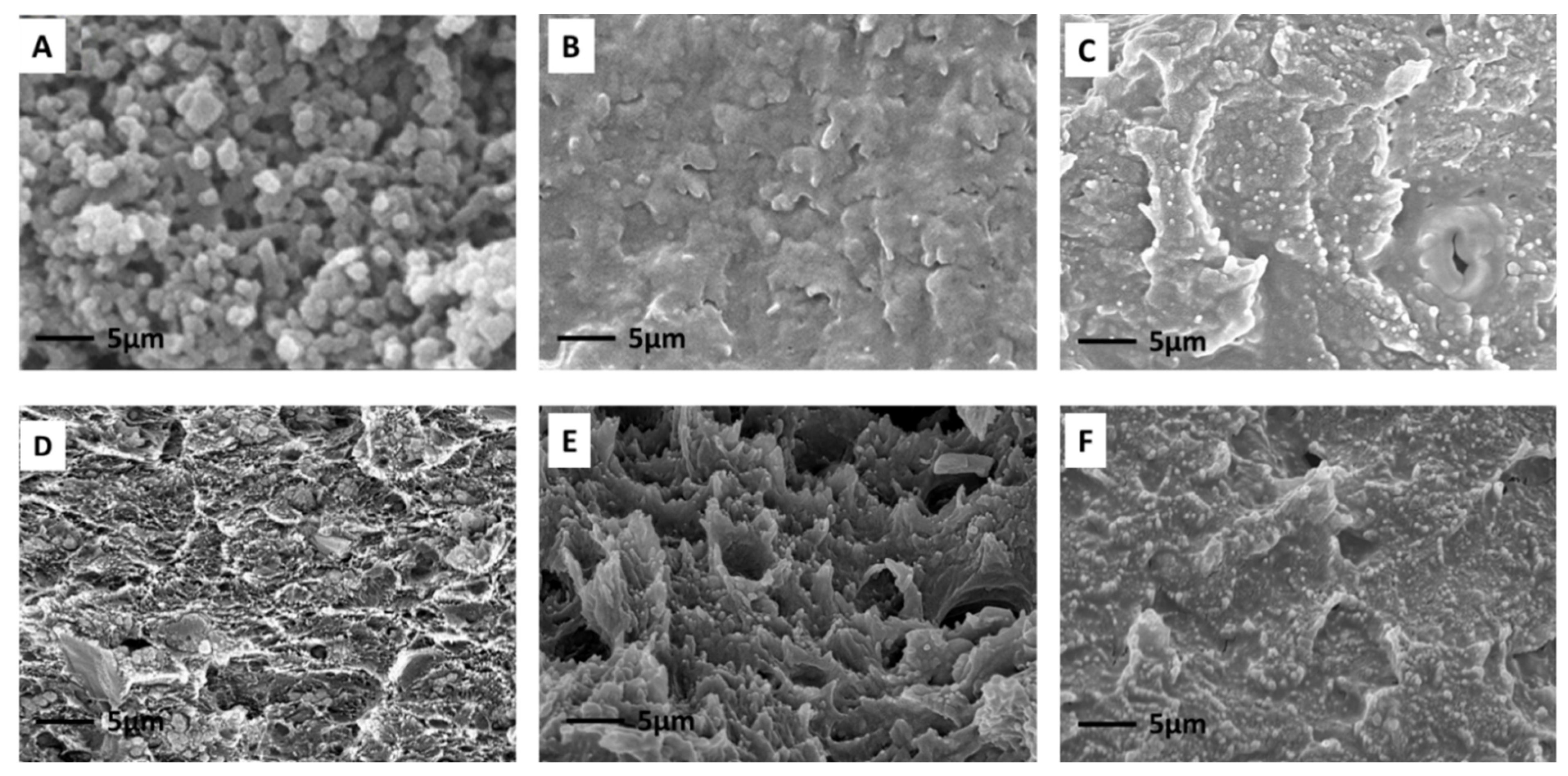Polymers 13 02946 g005 550