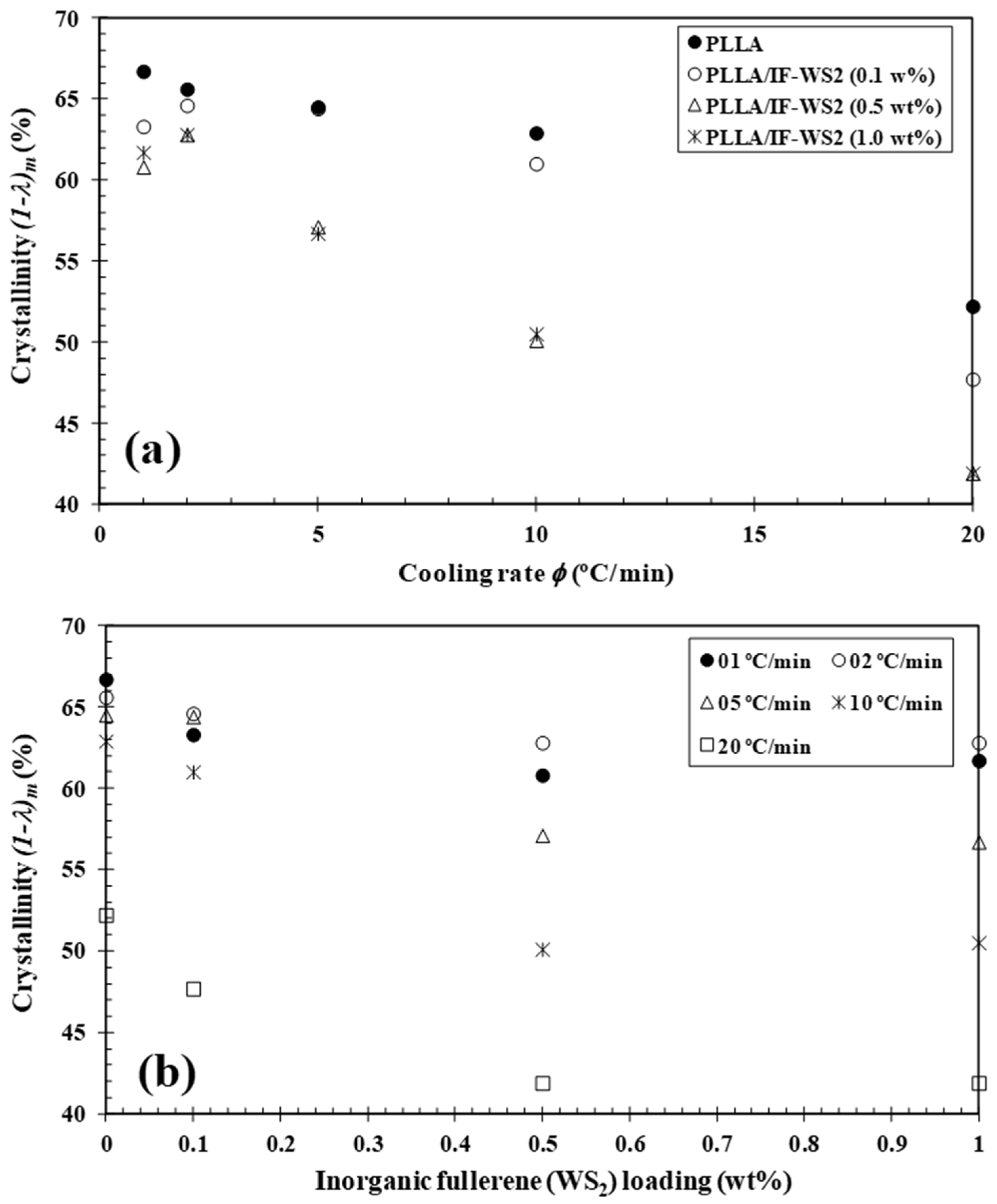 Polymers 13 02947 g005