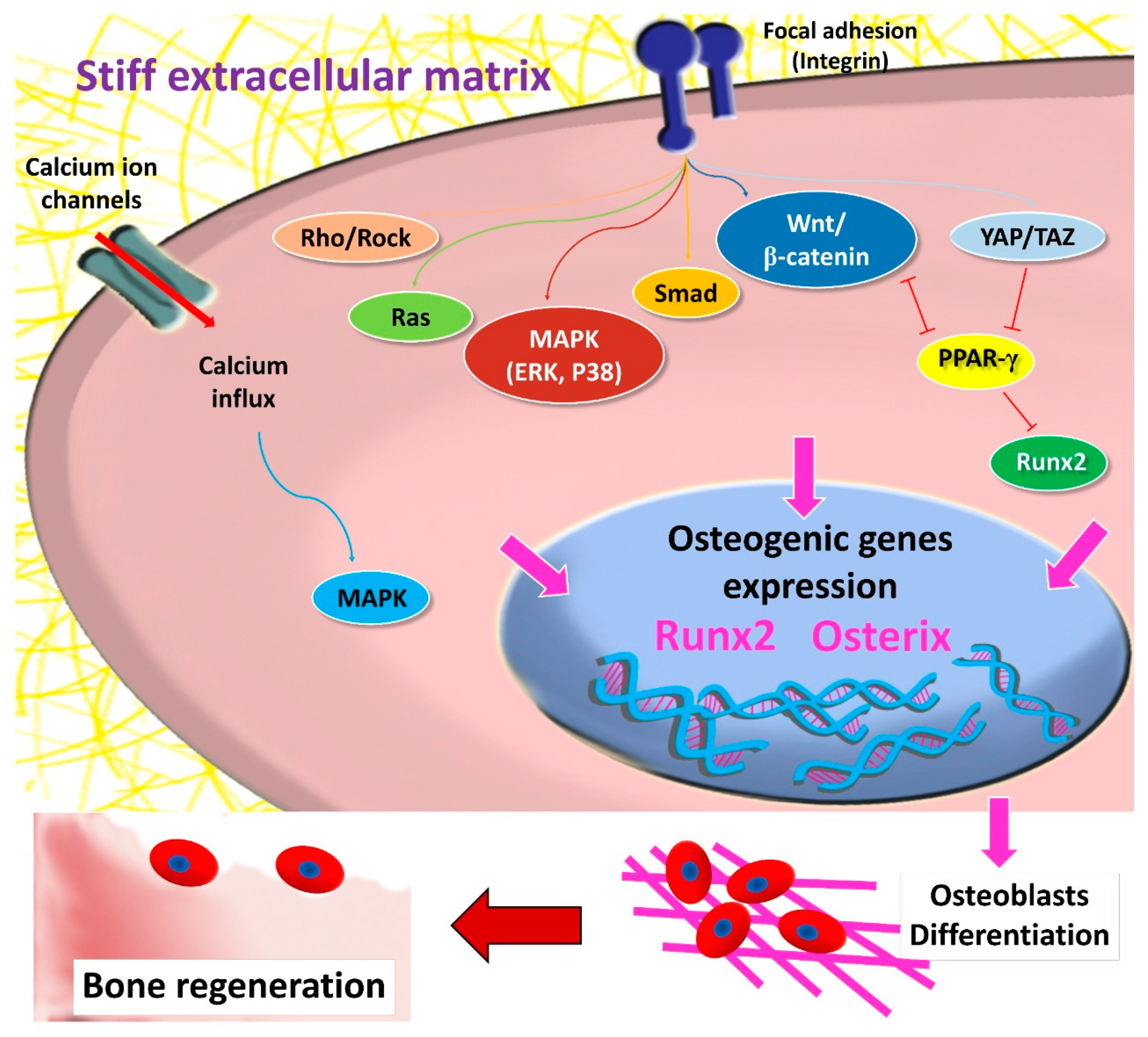 Polymers 13 02950 g003