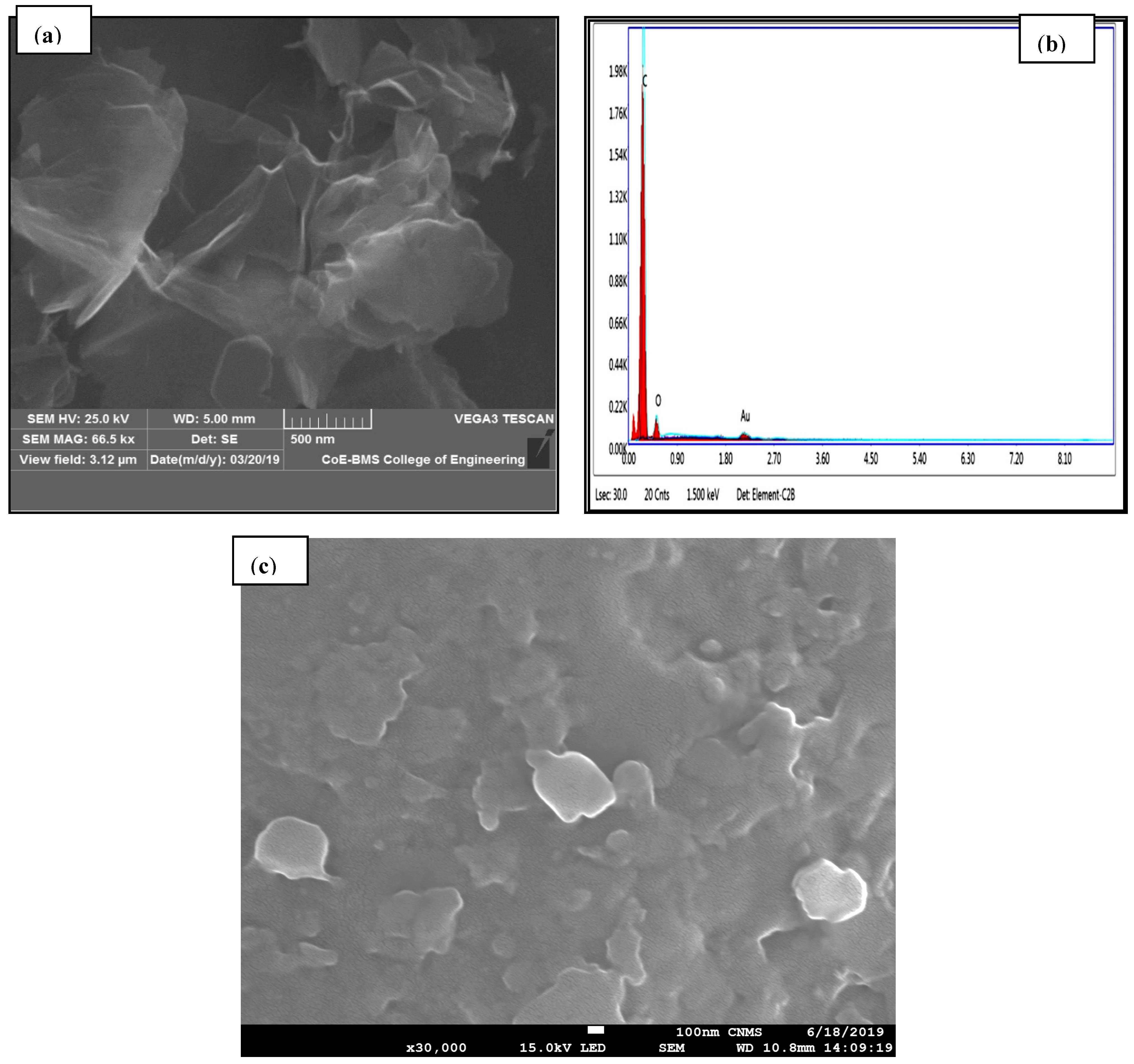 Polymers 13 02951 g010