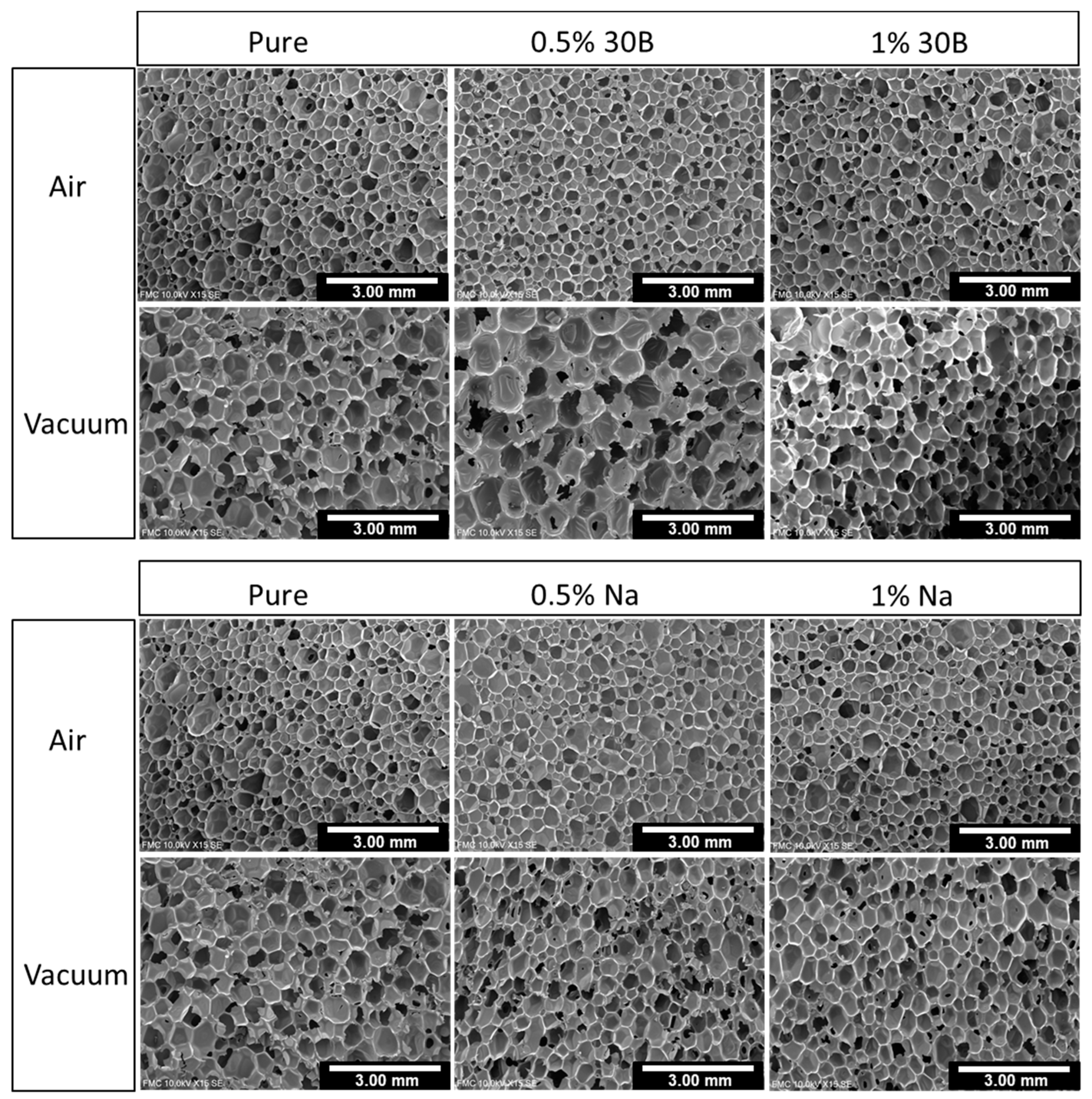 Polymers 13 02952 g002