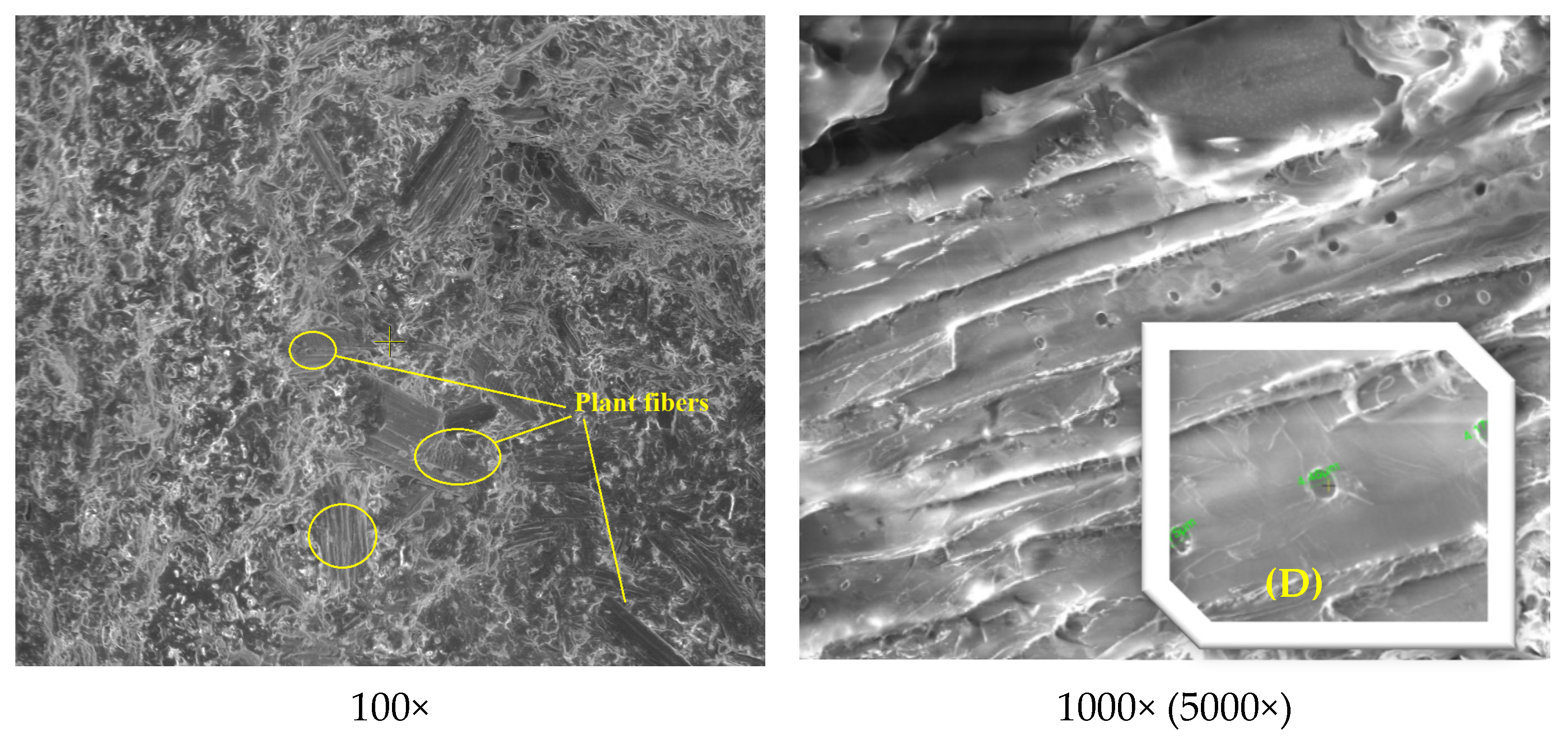 Polymers 13 02953 g014 Polymers 13 02953 g014