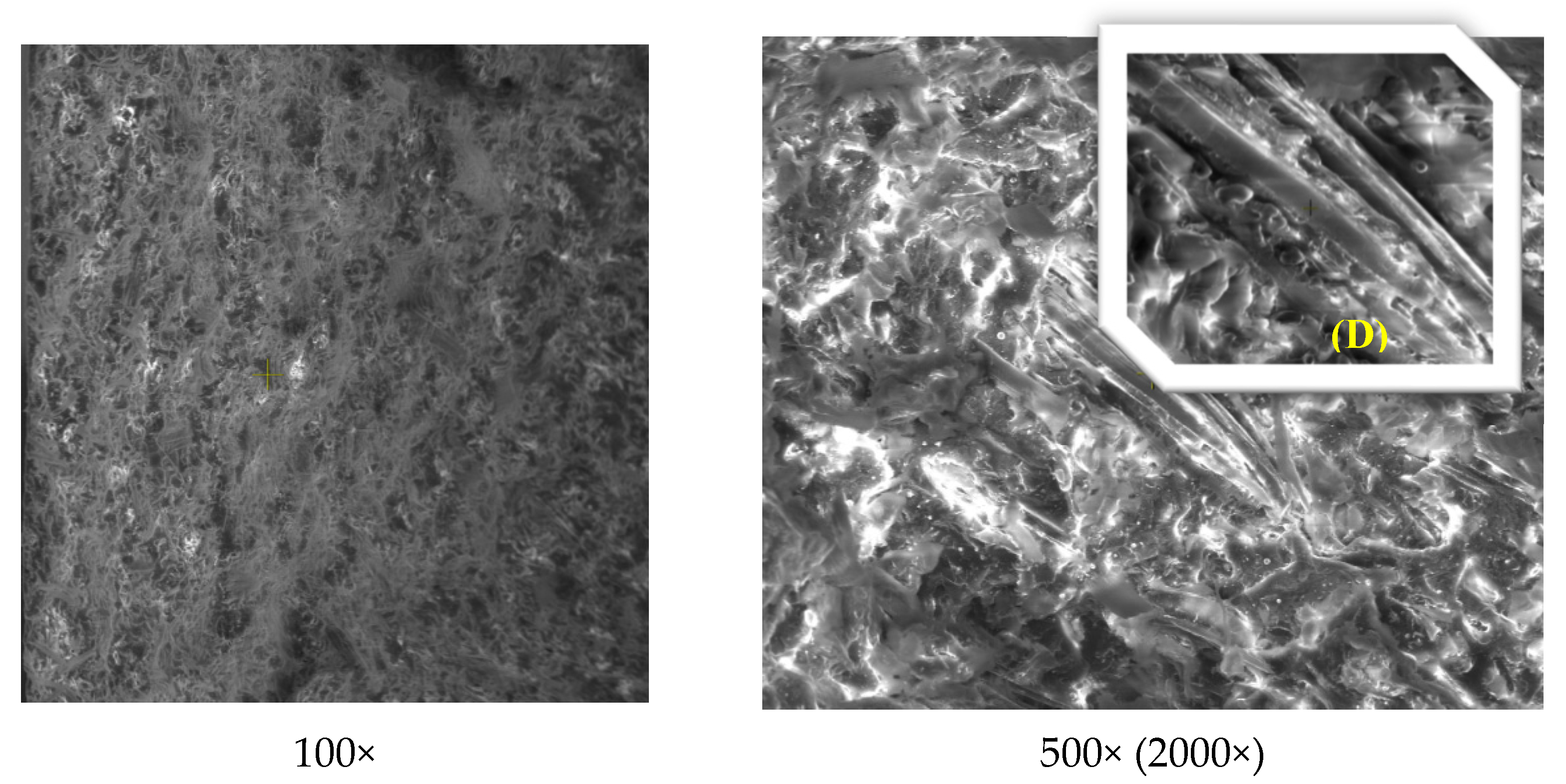 Polymers 13 02953 g015 Polymers 13 02953 g015
