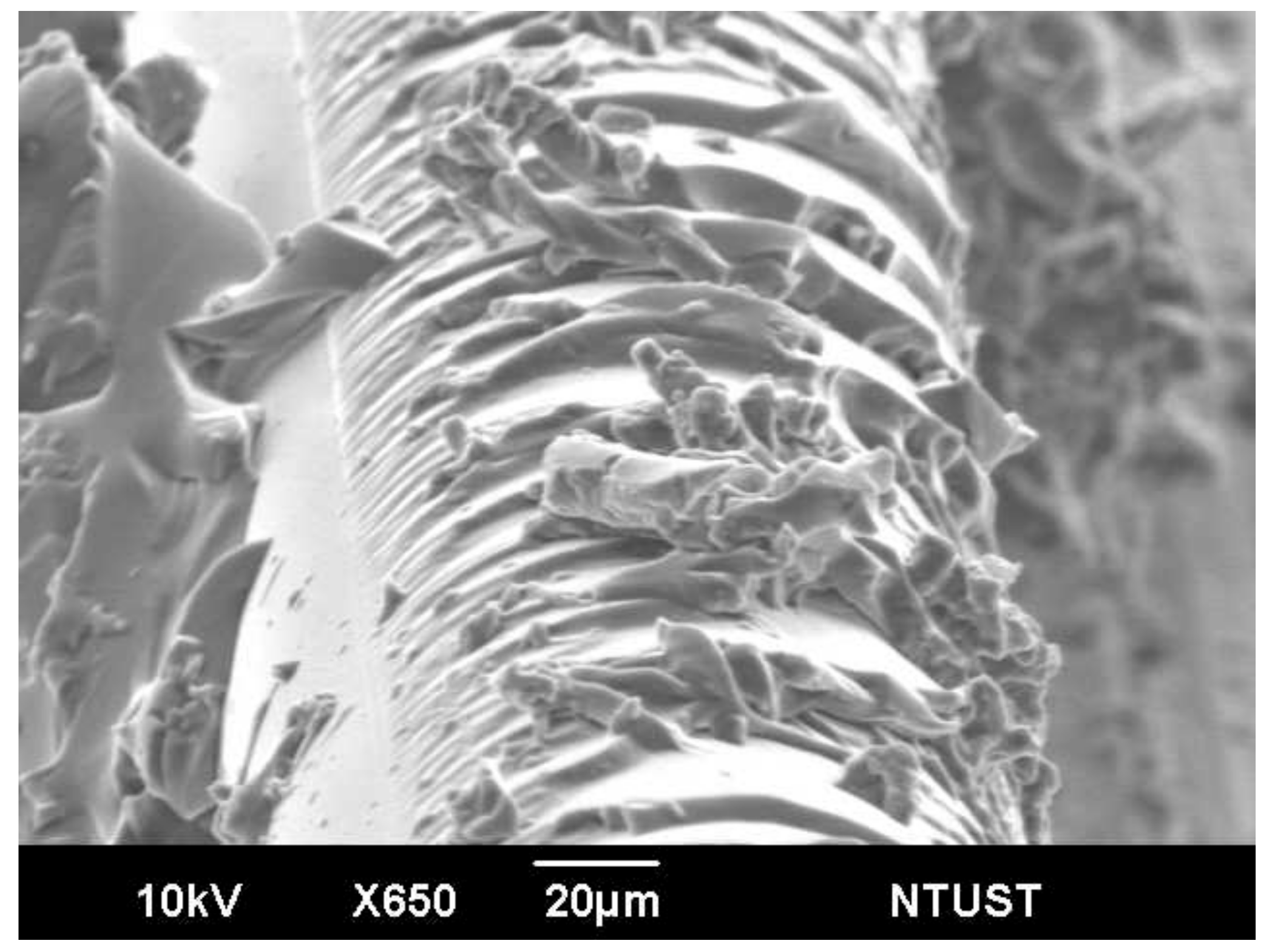 Polymers 13 02954 g007