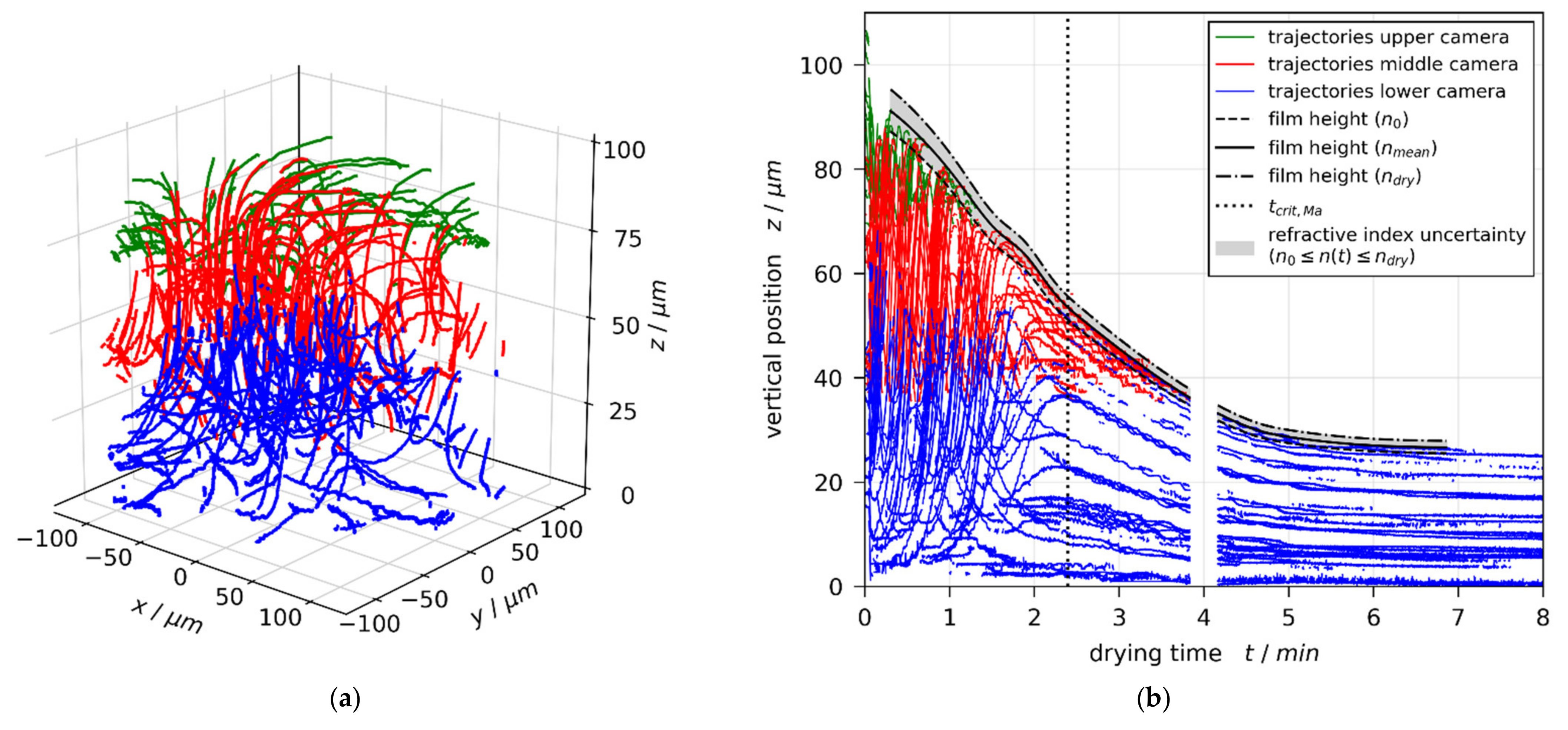 Polymers 13 02955 g001