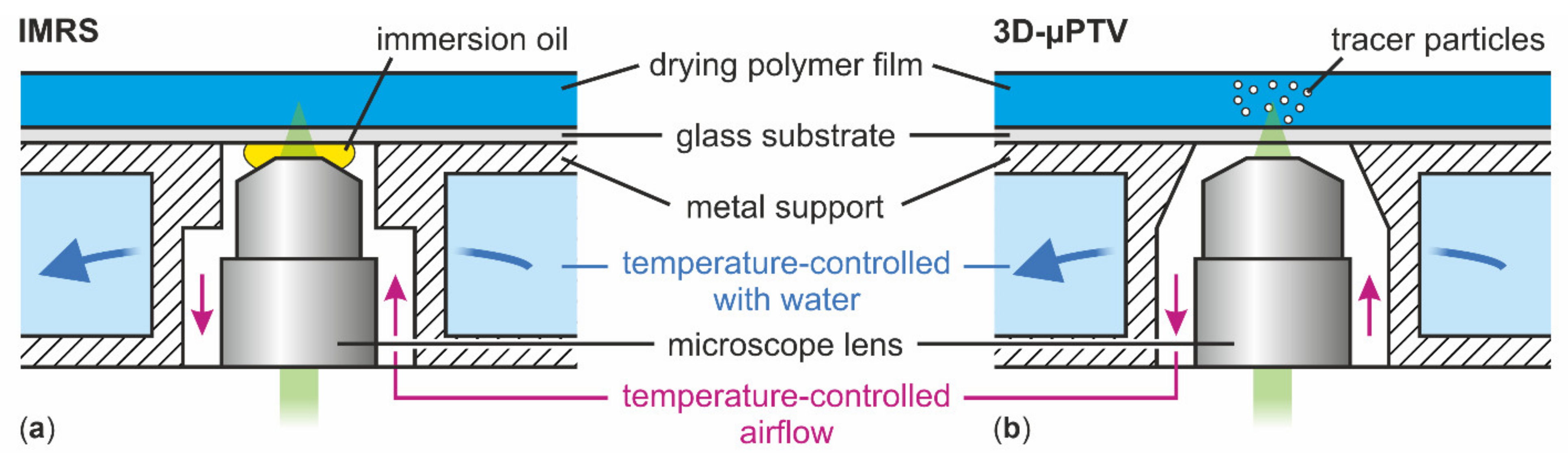 Polymers 13 02955 g002