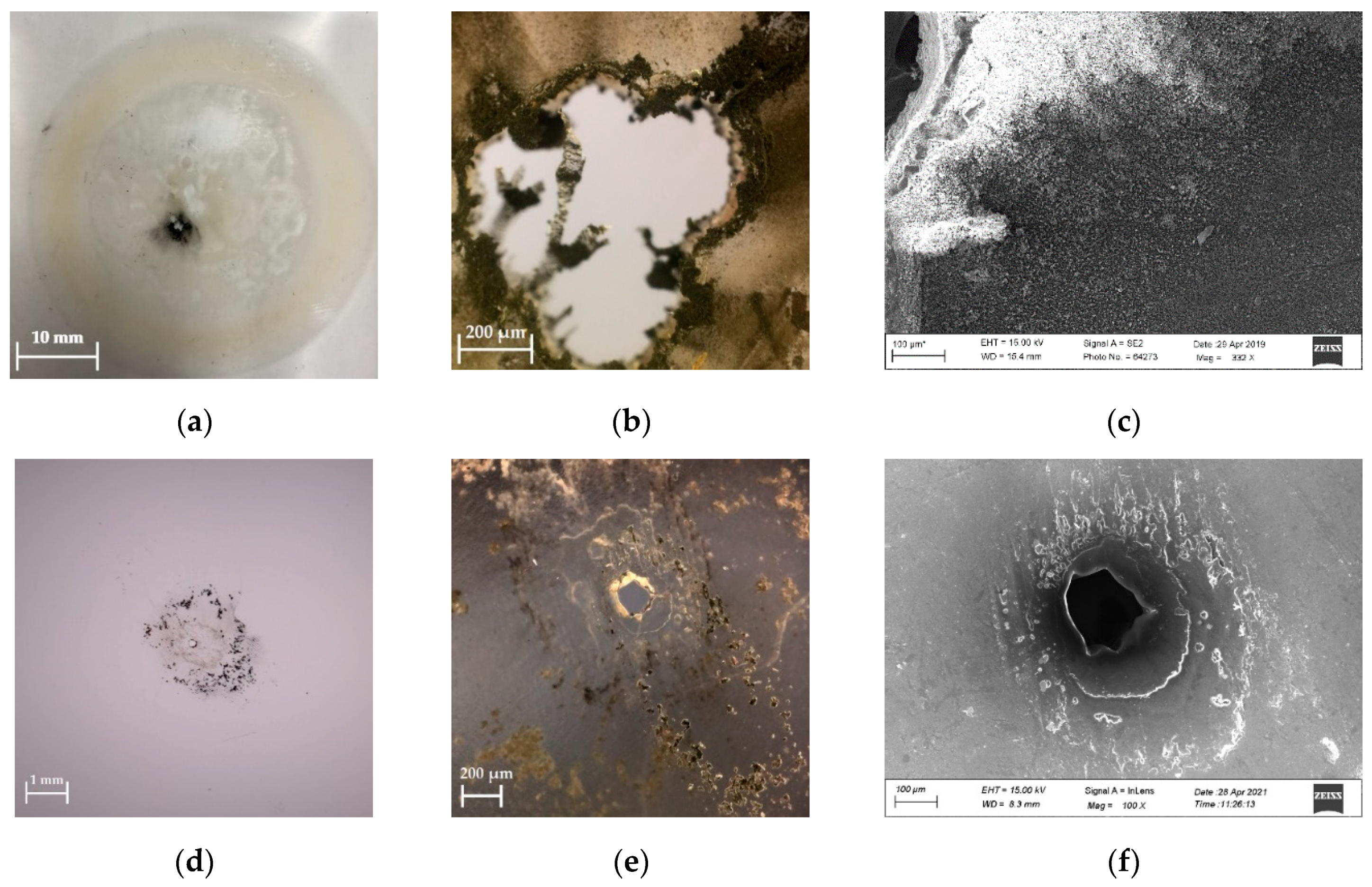 Polymers 13 02956 g005 550