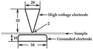 Polymers 13 02956 i002