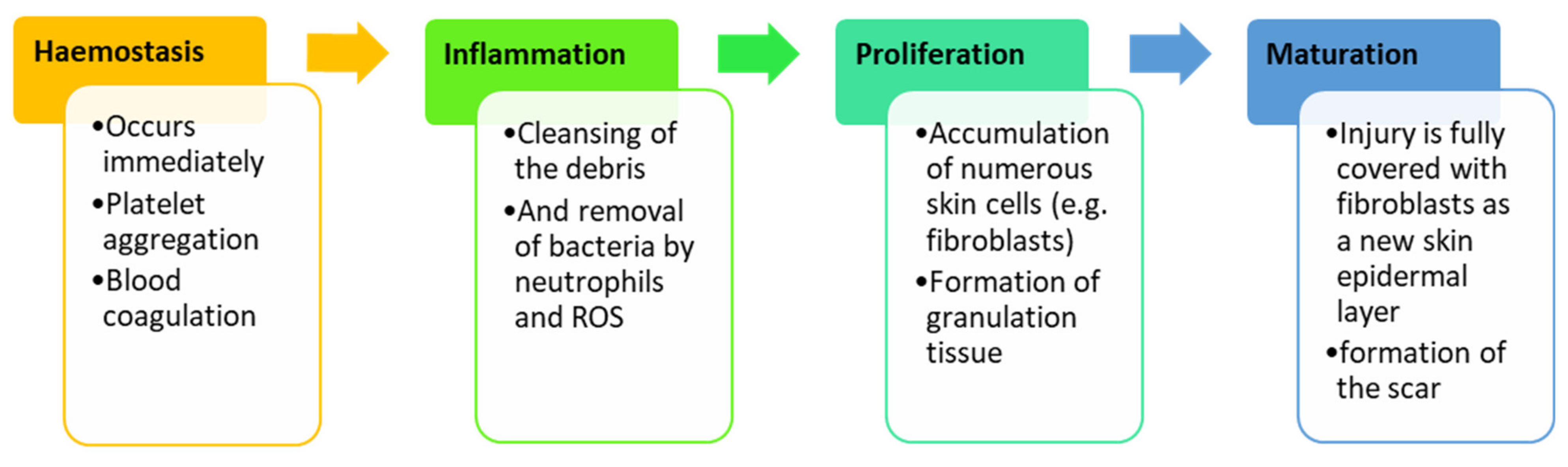 Polymers 13 02959 g002 550