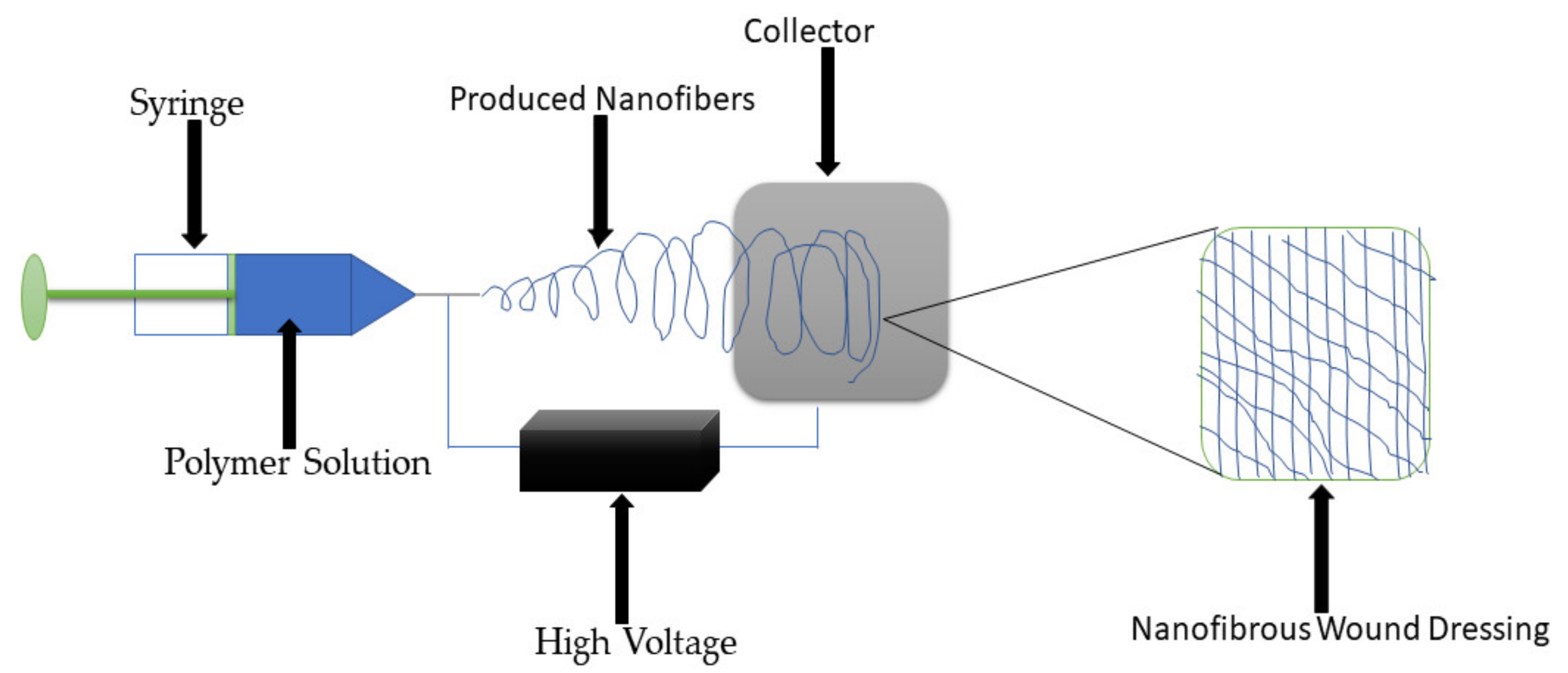 Polymers 13 02959 g008 550