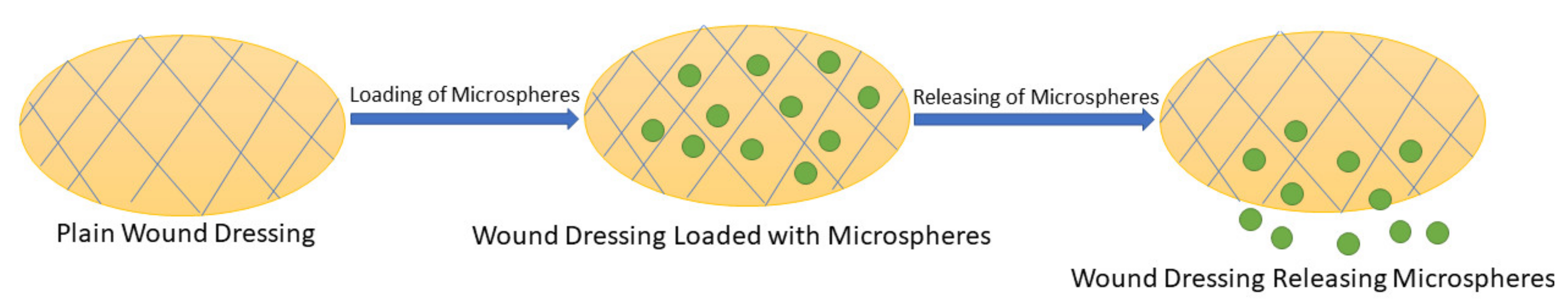 Polymers 13 02959 g009 550