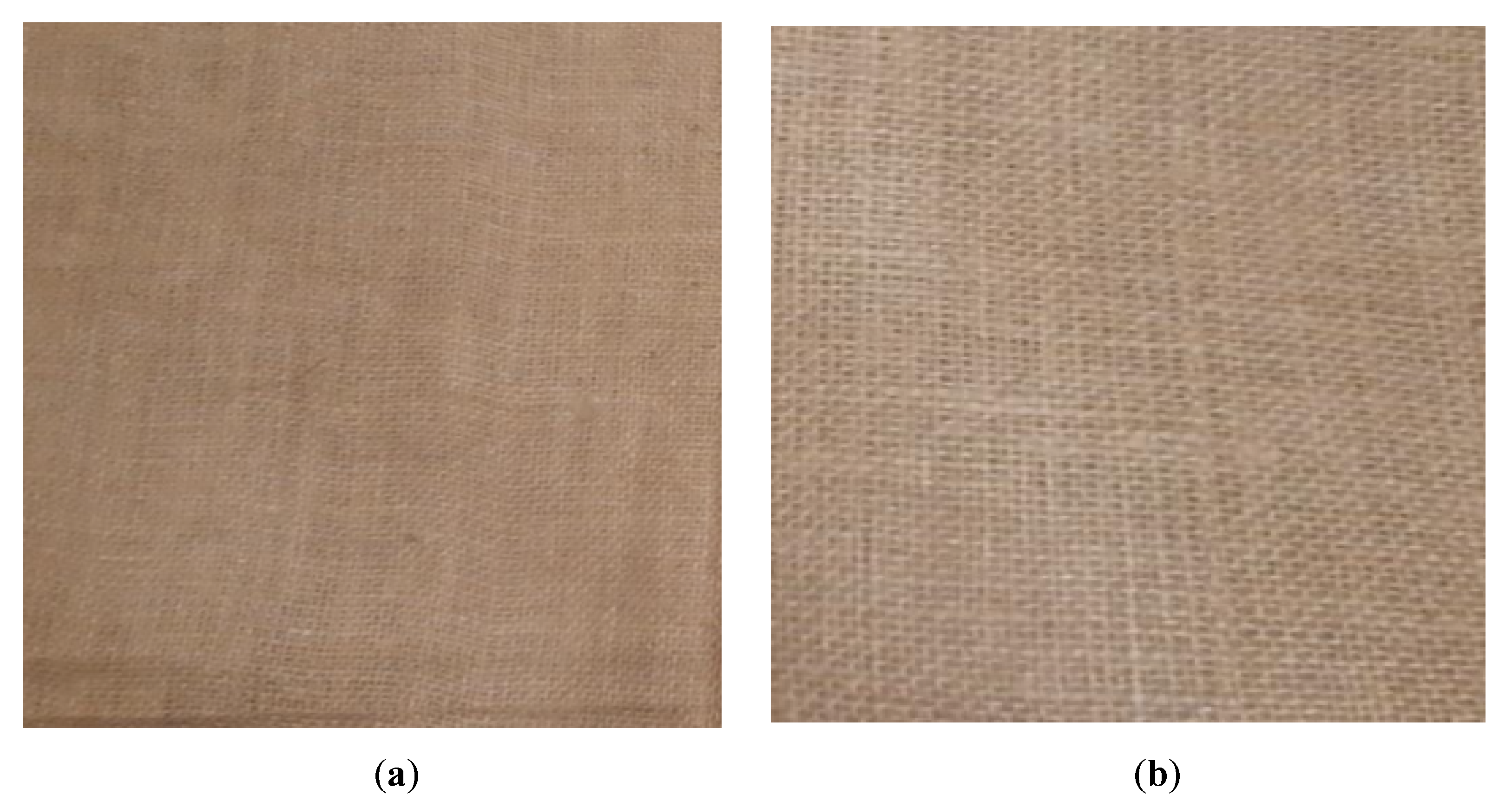 Polymers 13 02964 g001 550