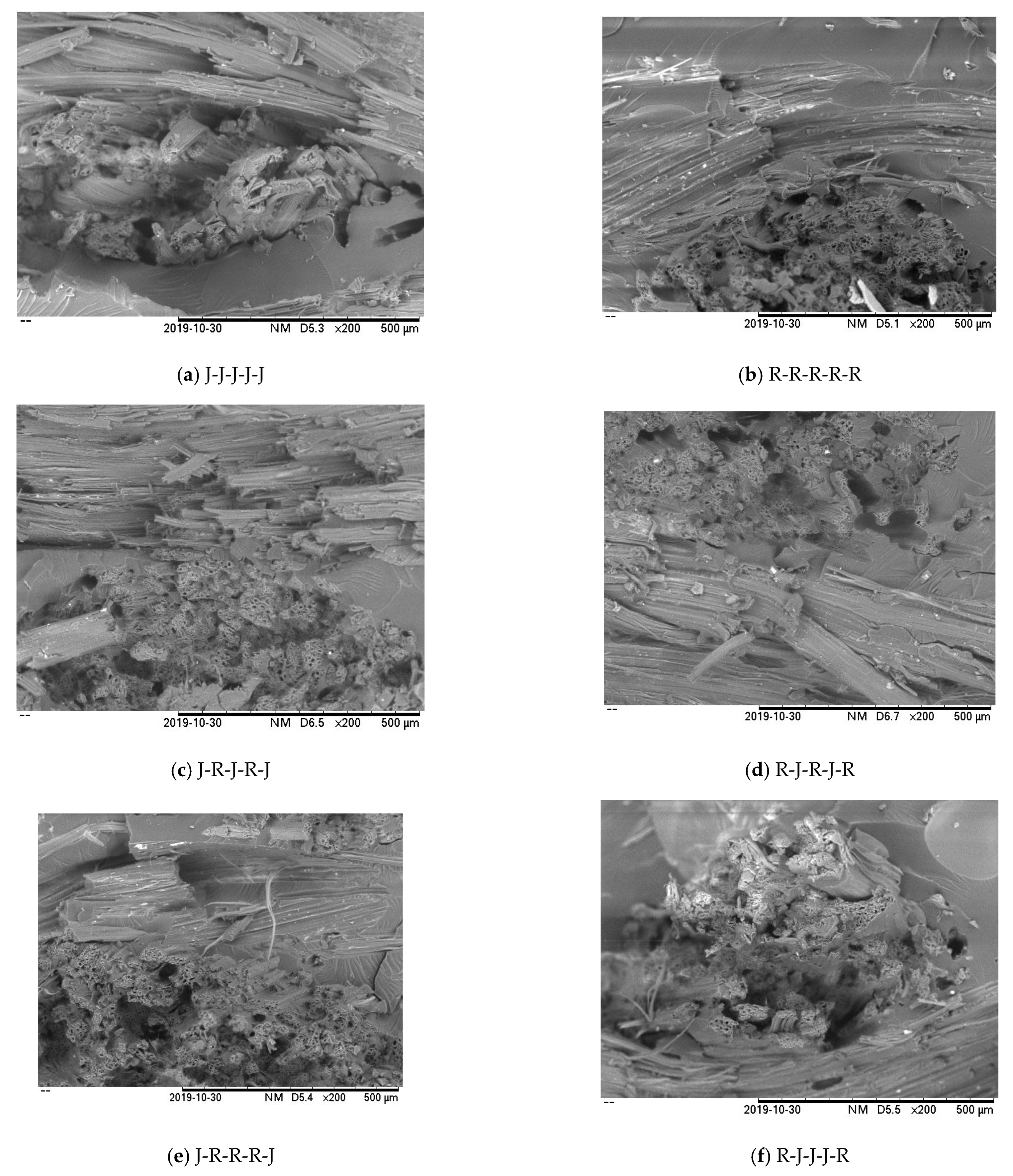 Polymers 13 02964 g011 550