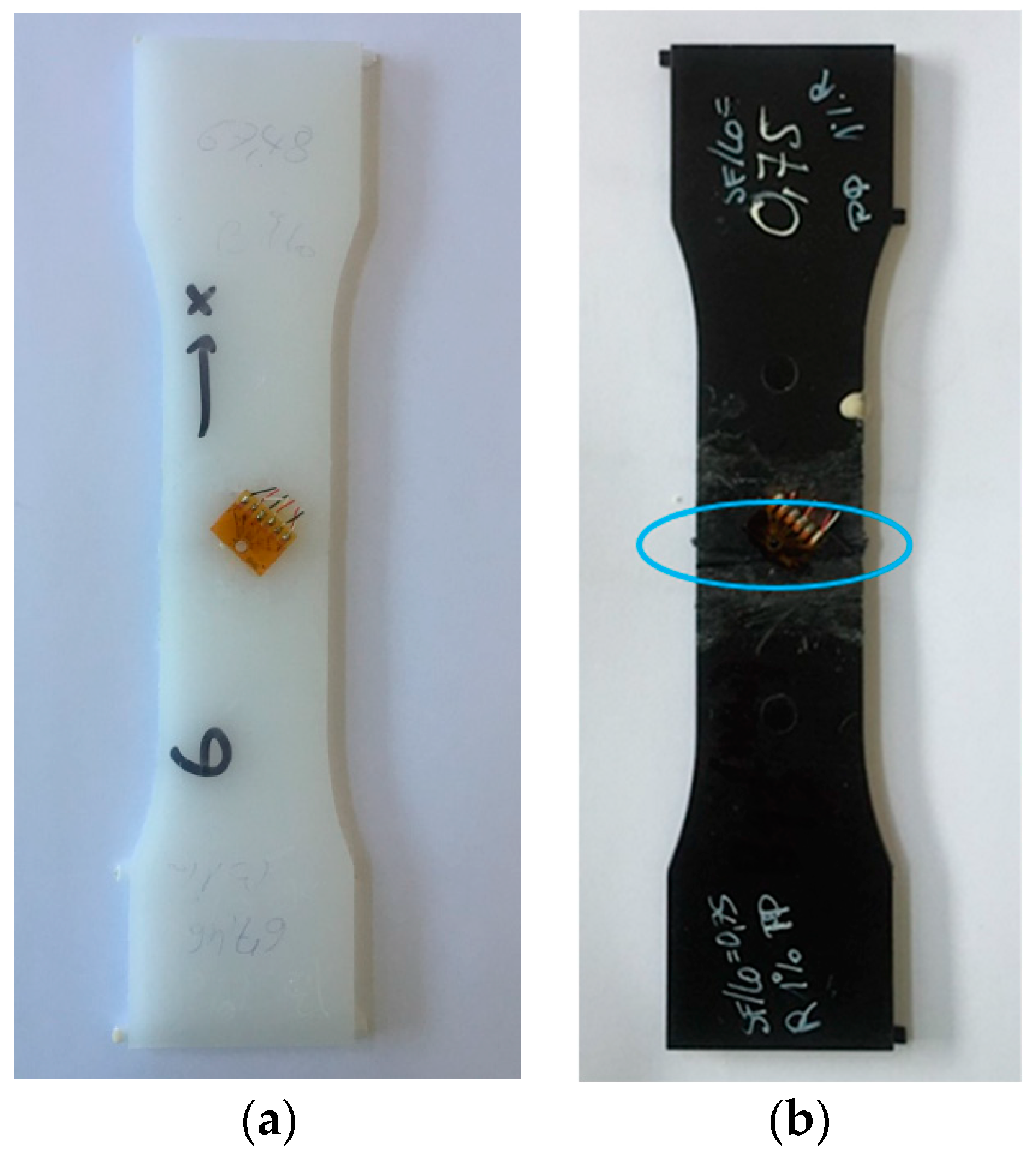 Polymers 13 02965 g004 550