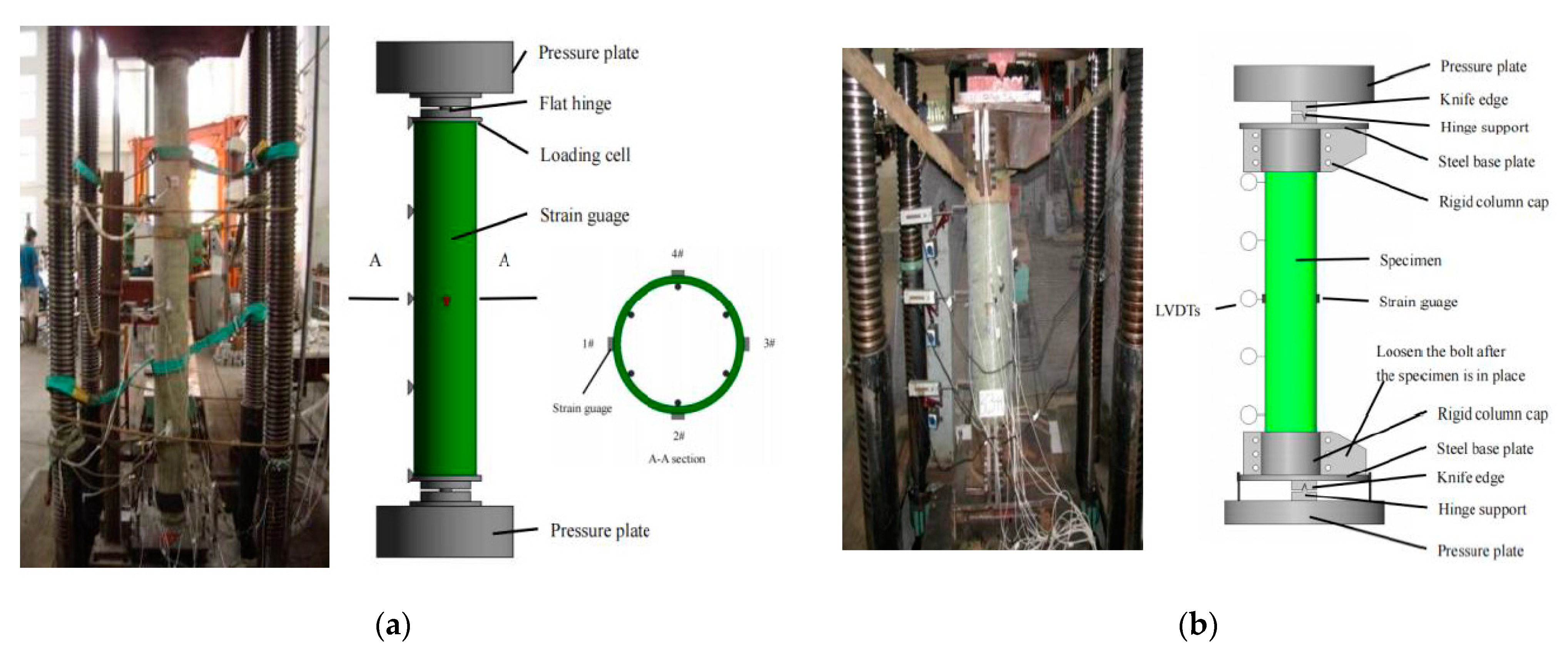 Polymers 13 02968 g001