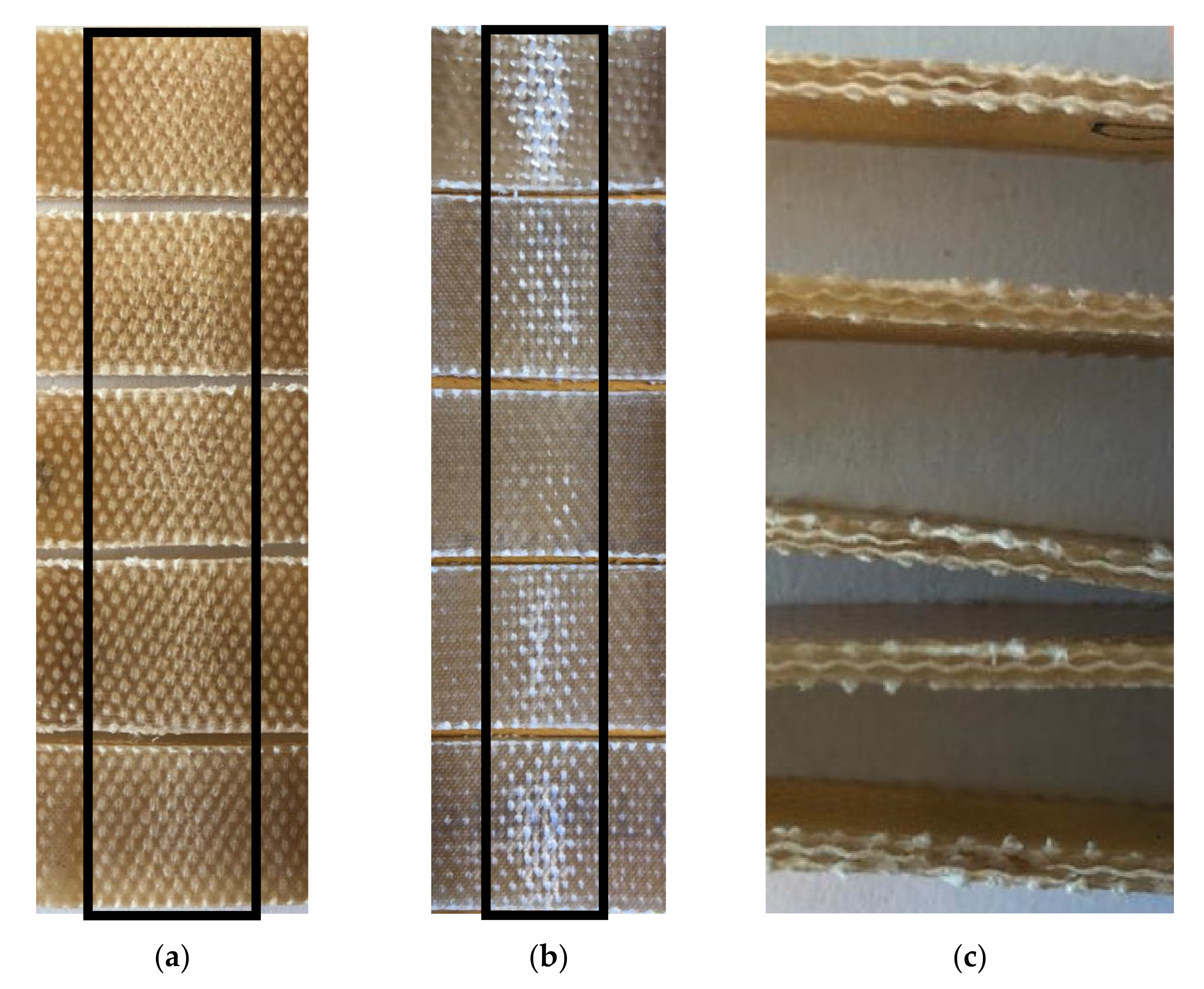 Polymers 13 02969 g003 550