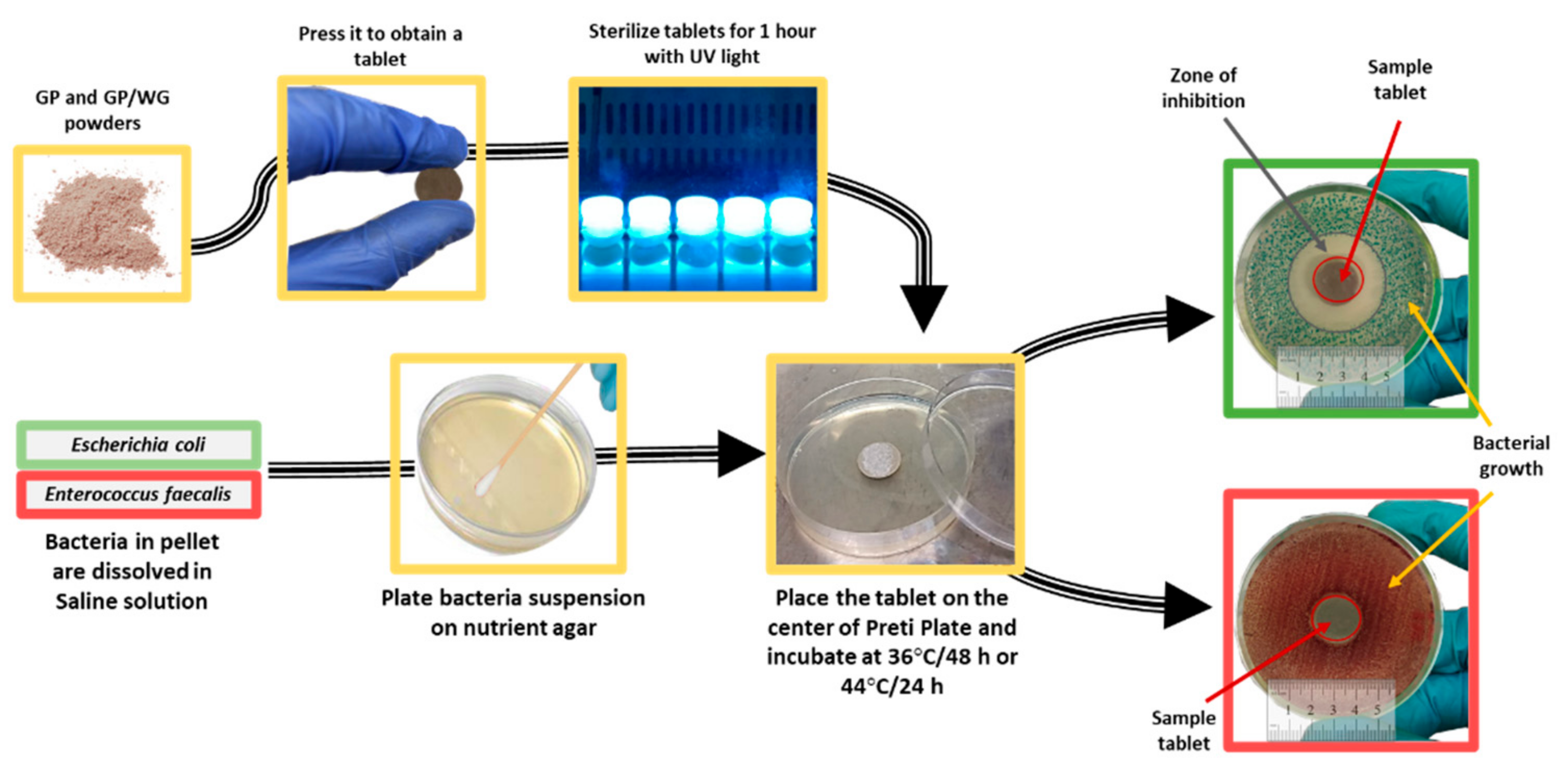 Polymers 13 02970 g003 550