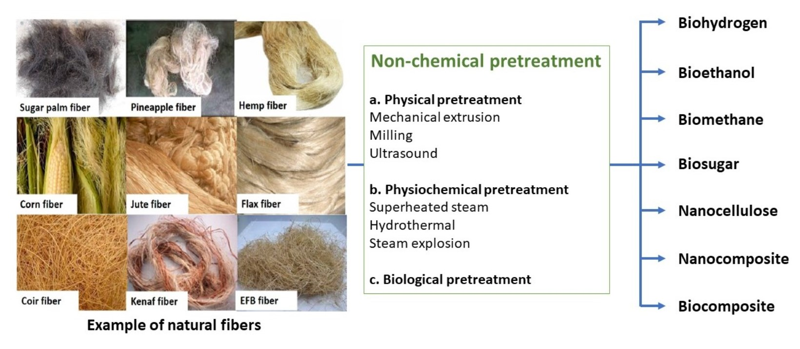 Polymers Free Full Text Greener Pretreatment Approaches For The Valorisation Of Natural Fibre Biomass Into Bioproducts