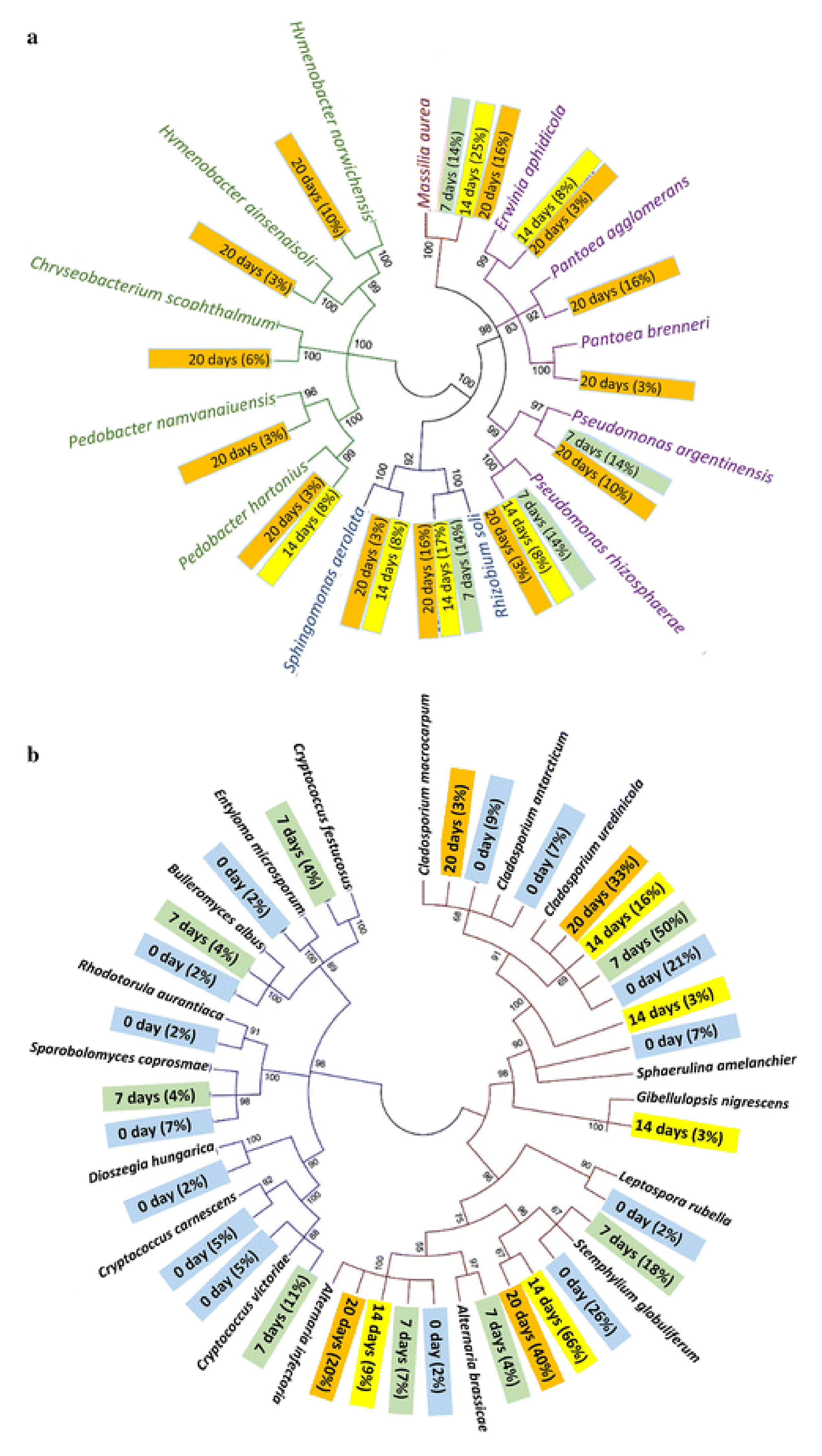 Polymers 13 02971 g003 Polymers 13 02971 g003