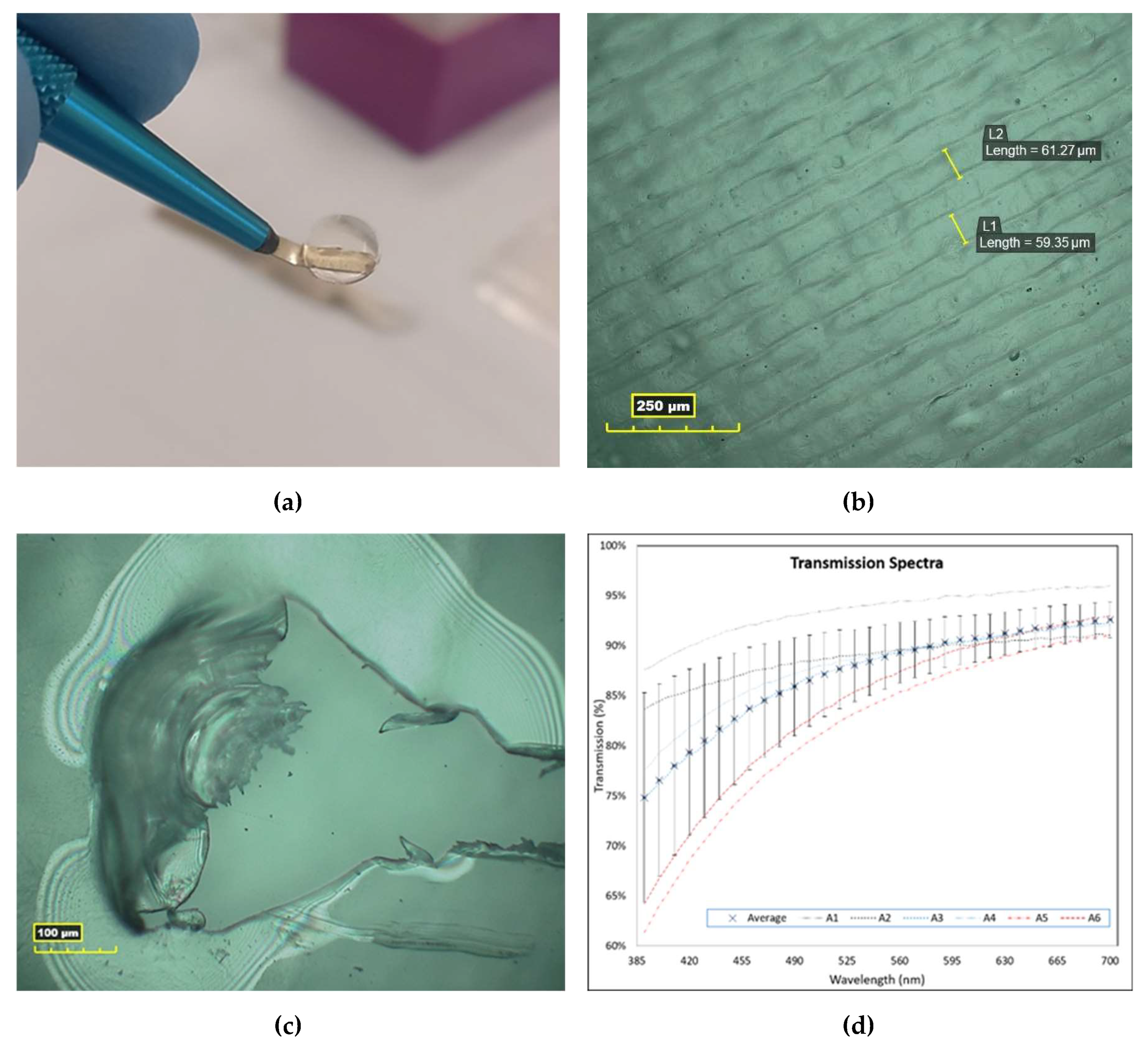 Polymers 13 02973 g002 550