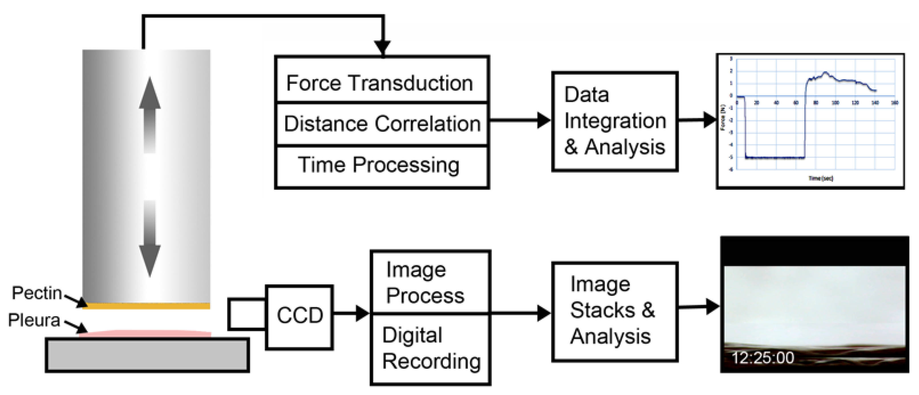 Polymers 13 02976 g002
