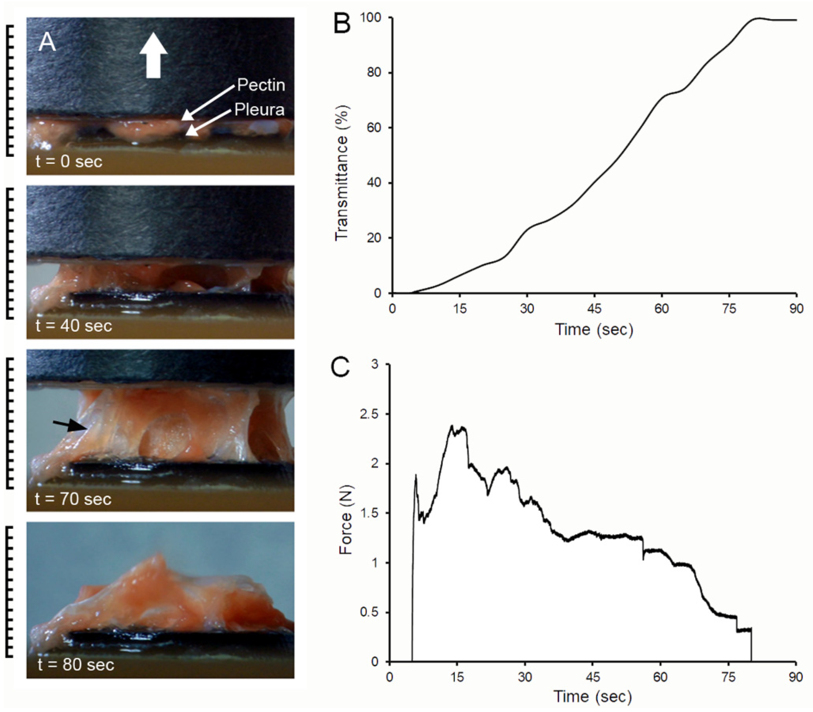 Polymers 13 02976 g003