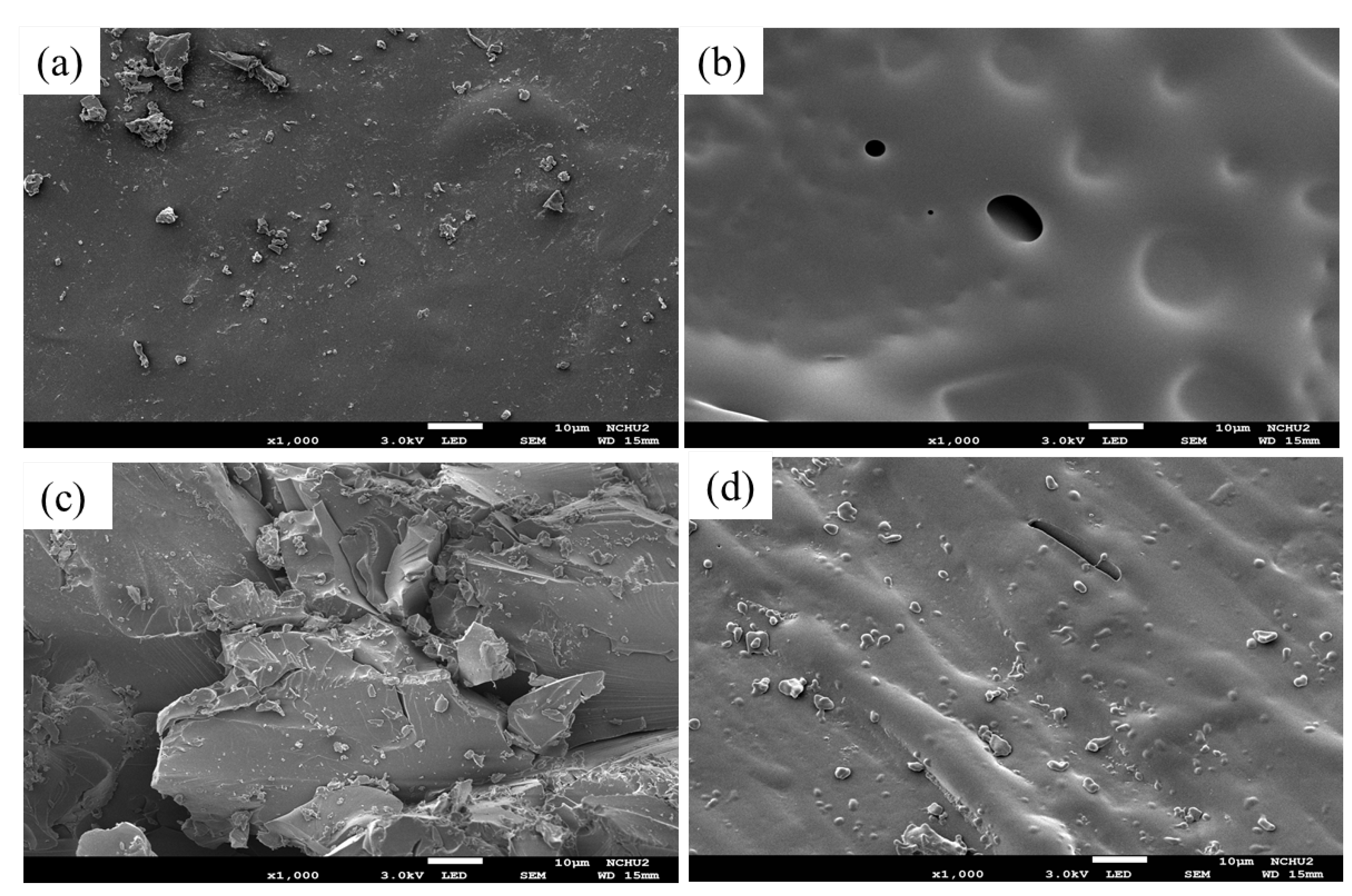 Polymers 13 02977 g005 Polymers 13 02977 g005
