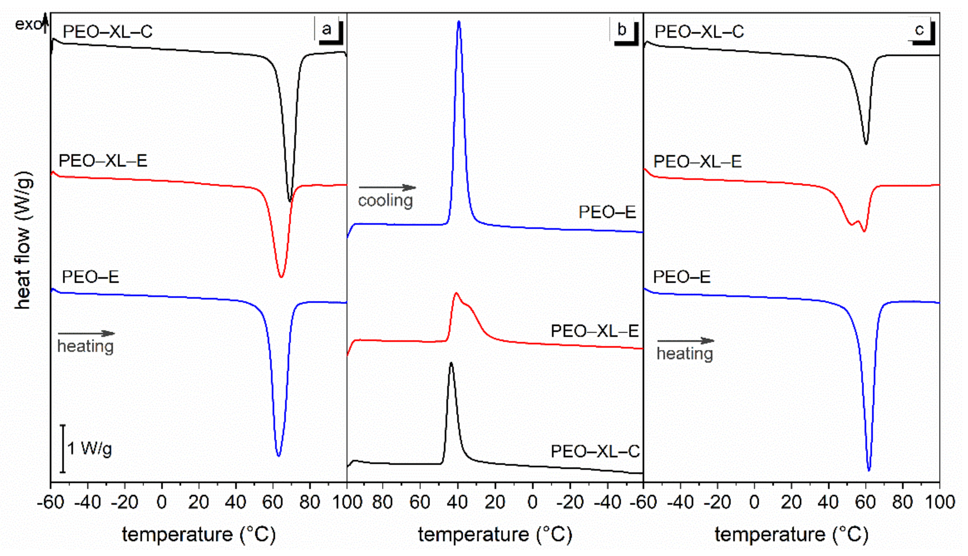 Polymers 13 02979 g005