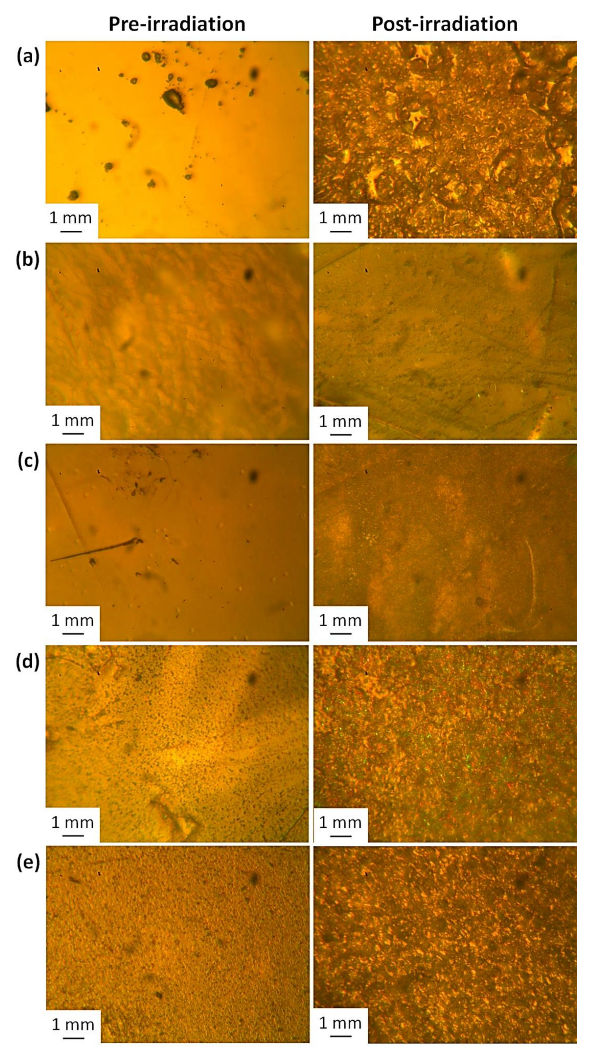 Polymers 13 02982 g007