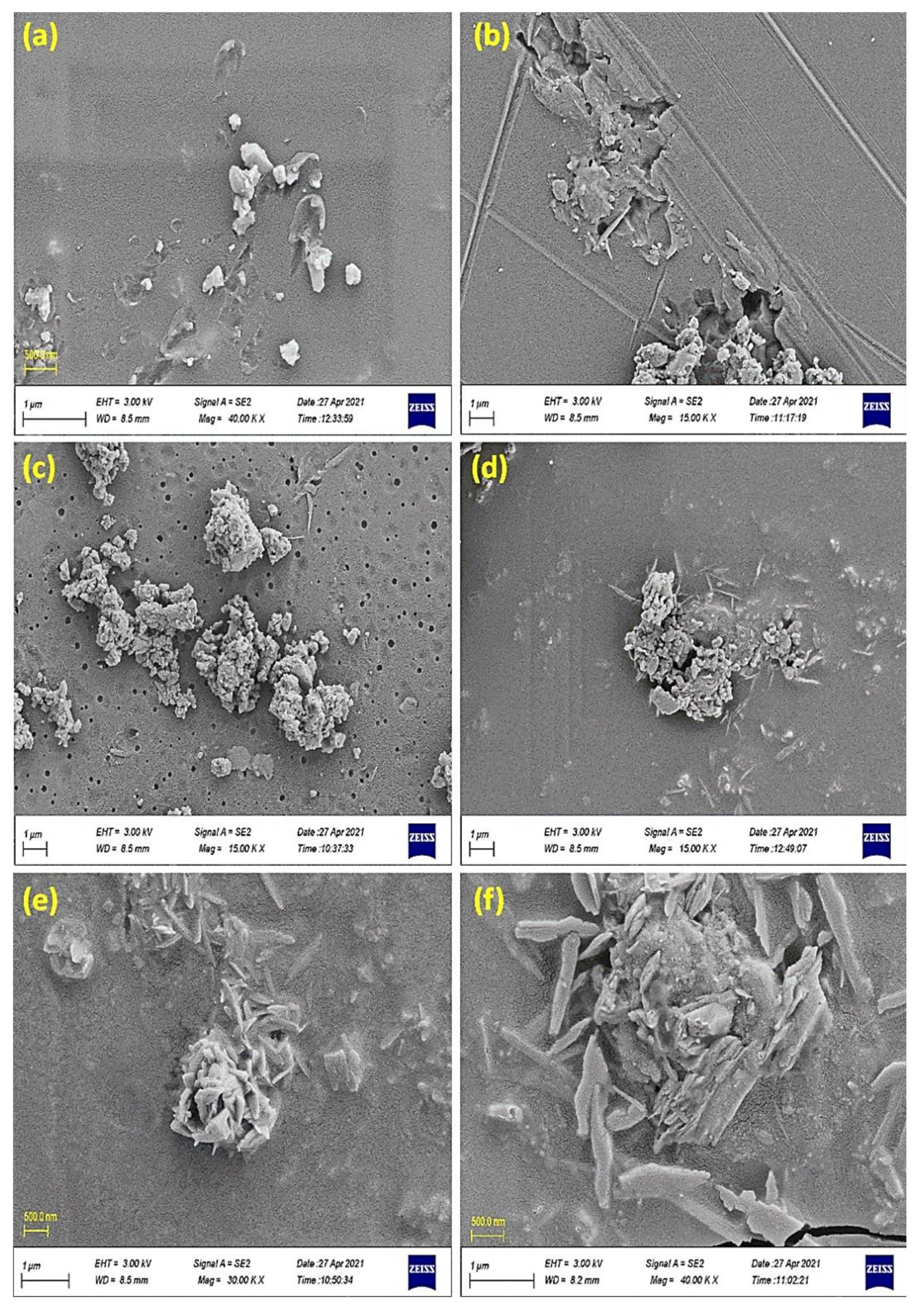 Polymers 13 02982 g008
