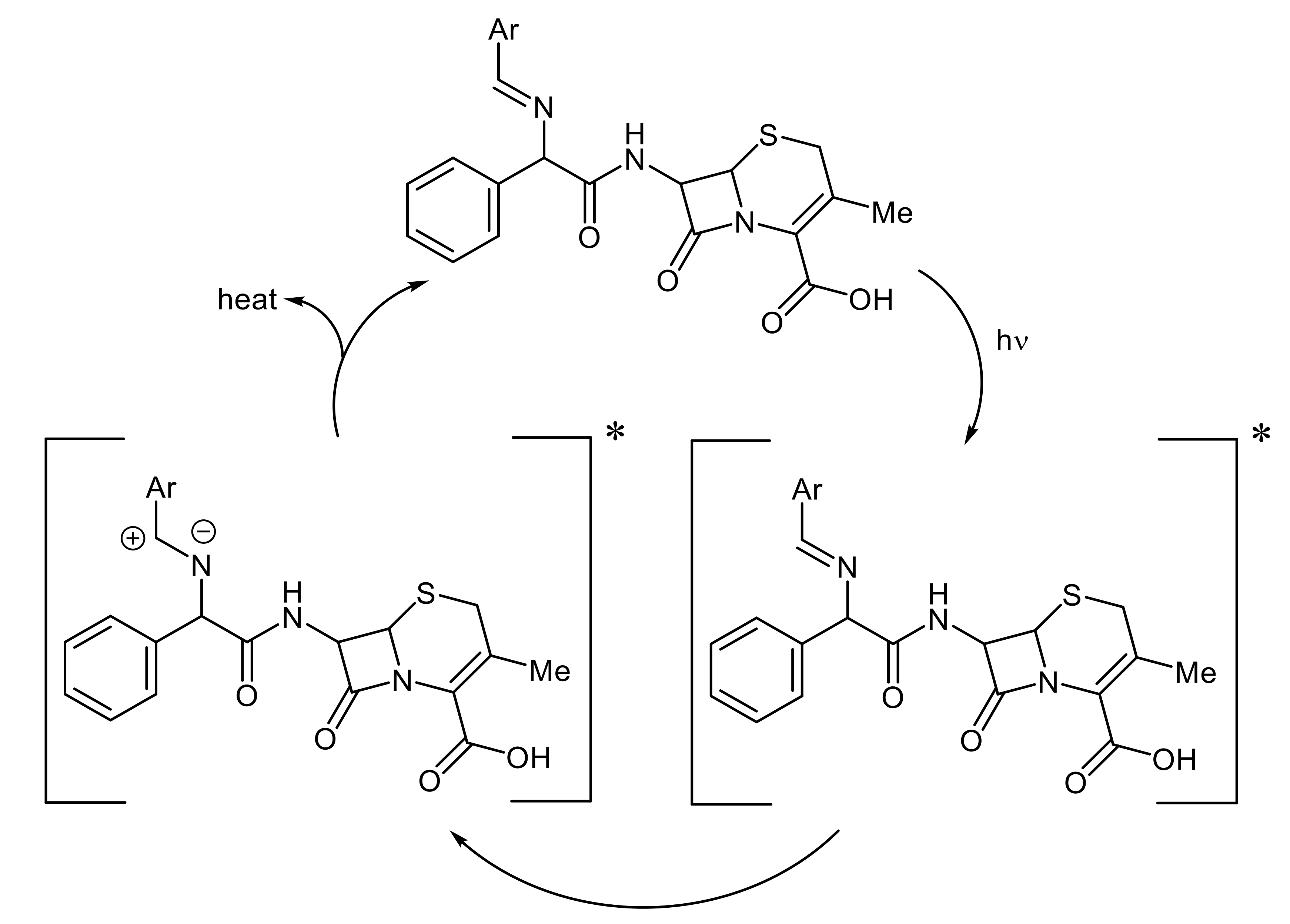 Polymers 13 02982 g012