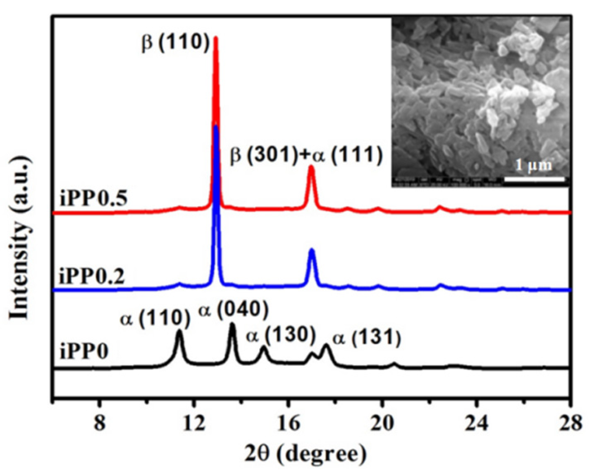 Polymers 13 02984 g002 Polymers 13 02984 g002