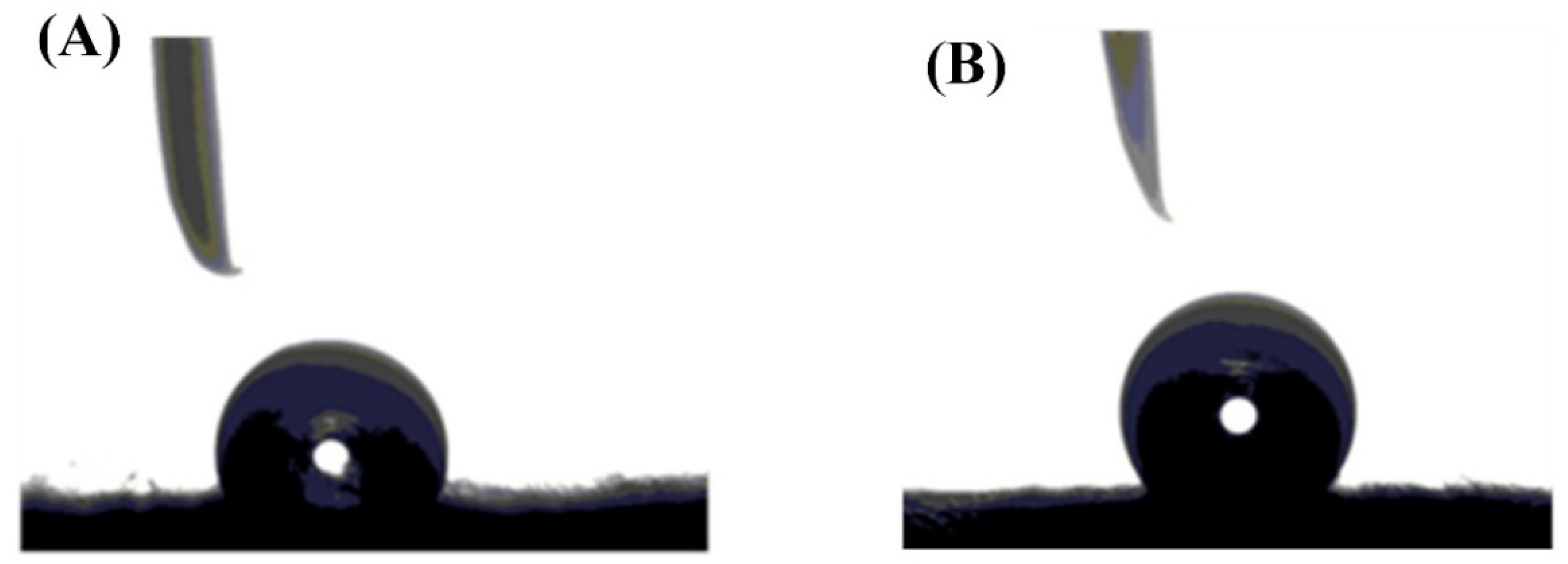 Polymers 13 02987 g004
