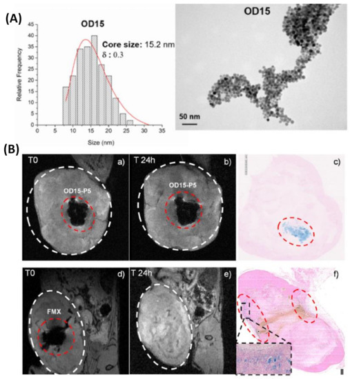 Recent Advances in Multimodal Molecular Imaging of Cancer Mediated by ...