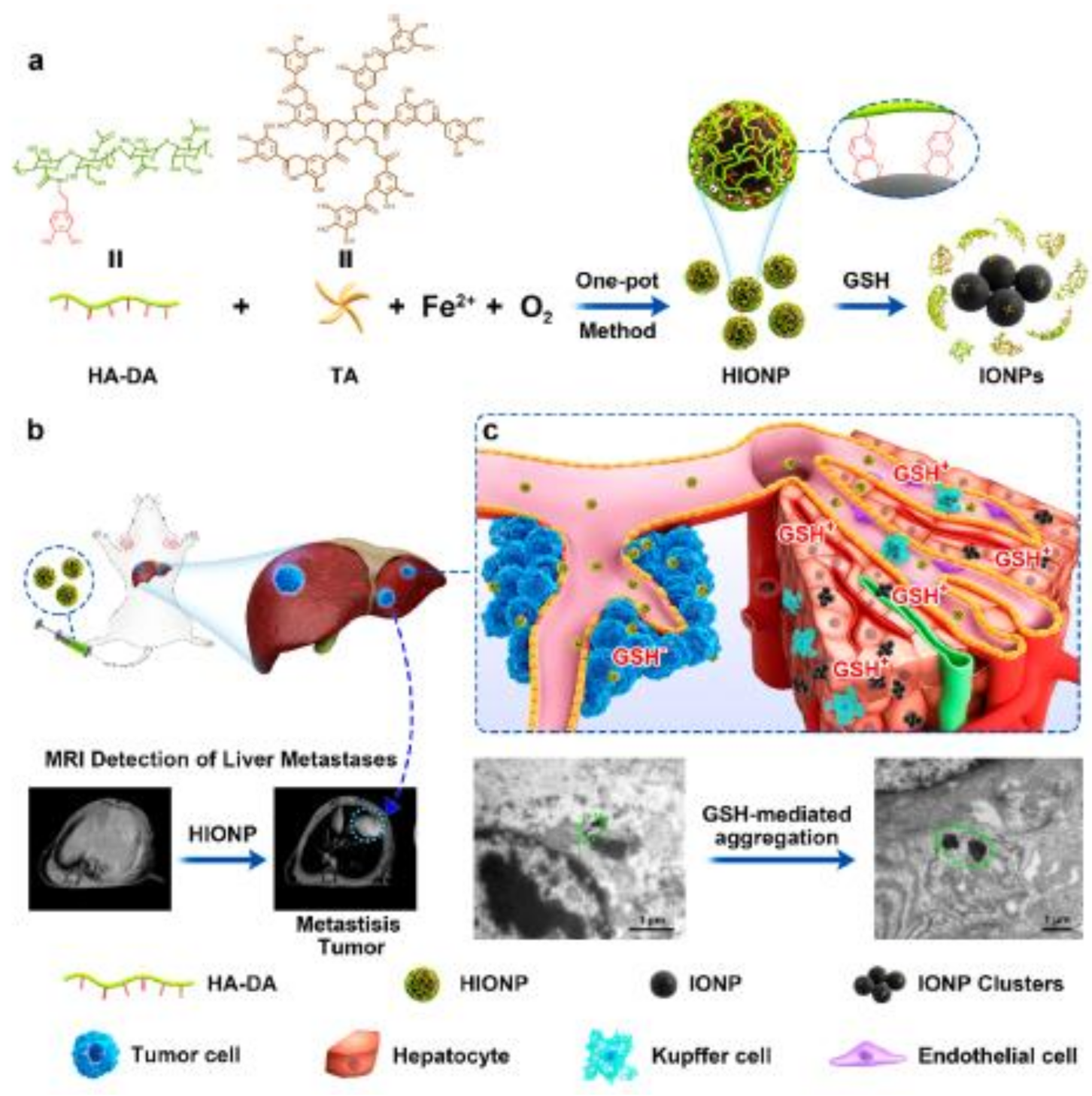 Polymers 13 02989 g005 550