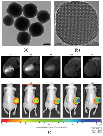 Recent Advances in Multimodal Molecular Imaging of Cancer Mediated by ...