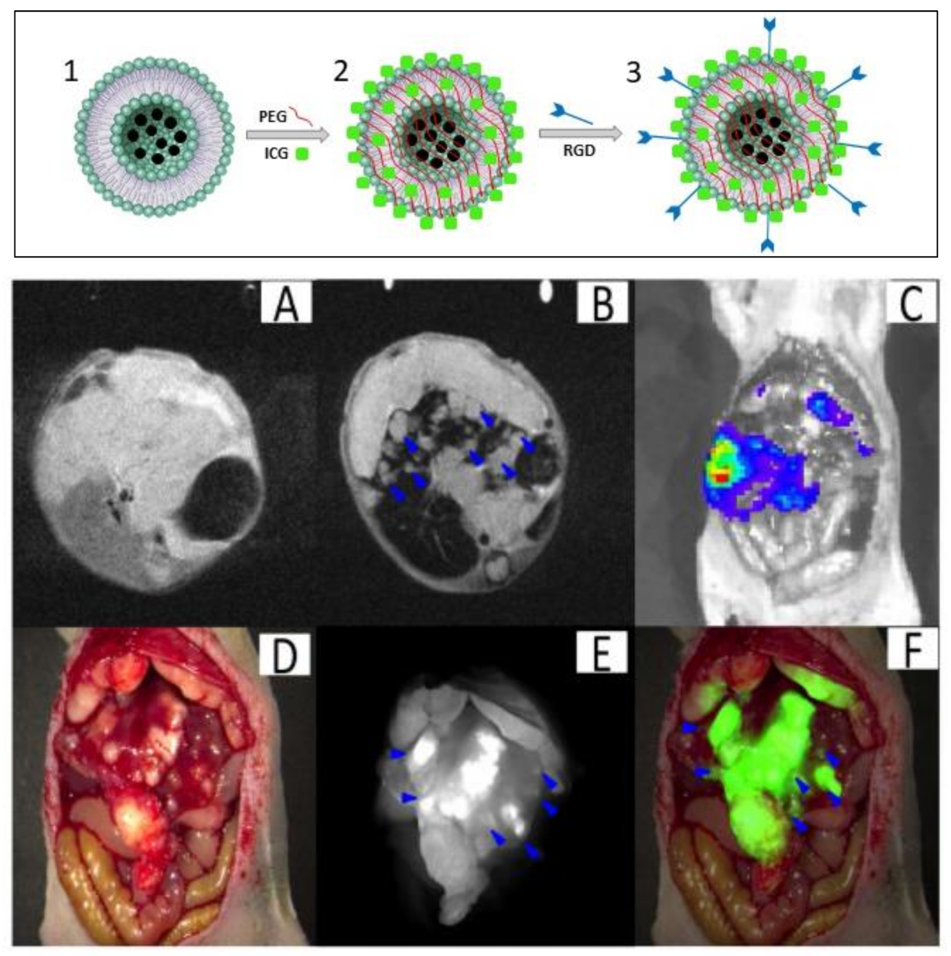 Polymers 13 02989 g009 550