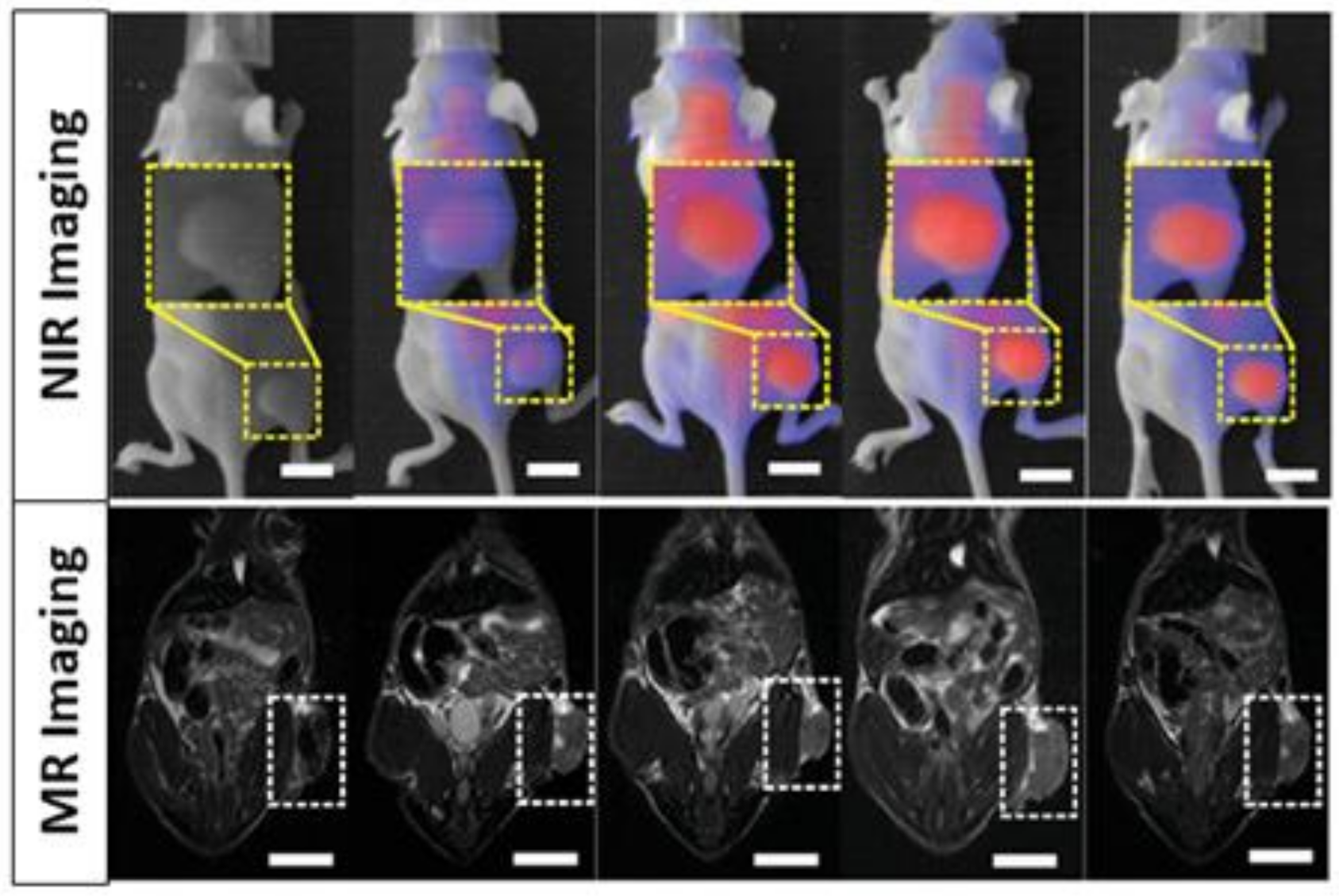 Polymers 13 02989 g010 550