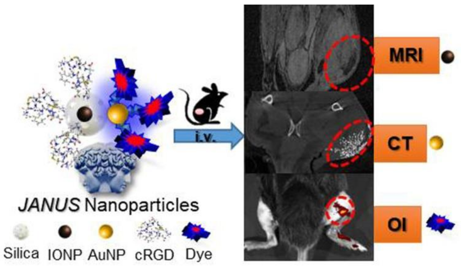 Polymers 13 02989 g011 550