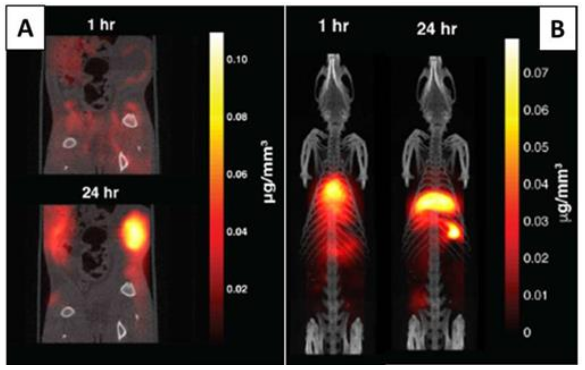 Polymers 13 02989 g016 550