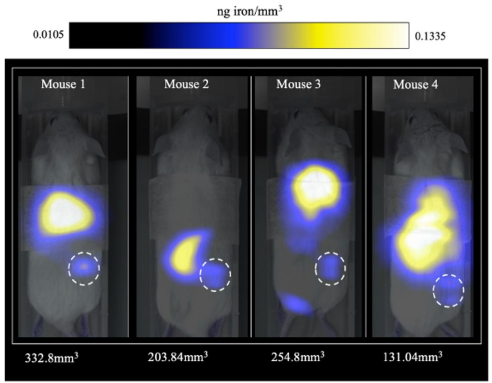 Polymers 13 02989 g017 550