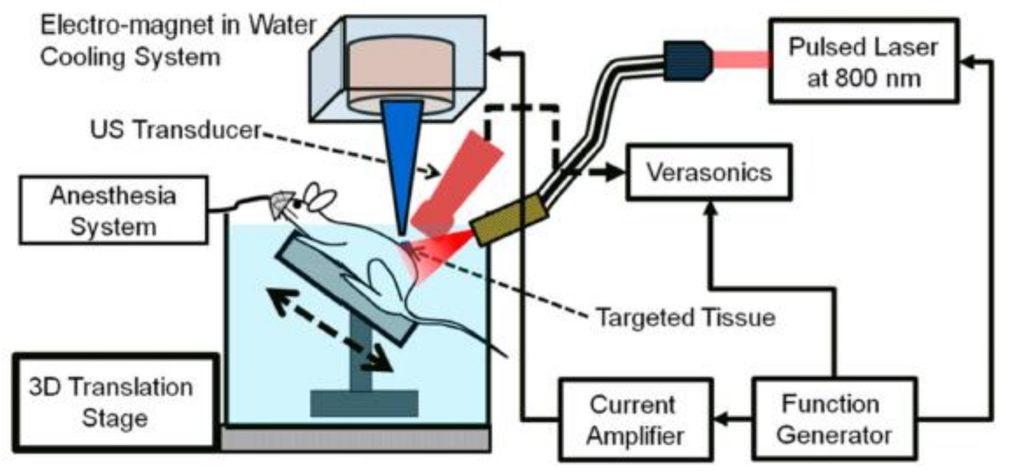 Polymers 13 02989 g020 550