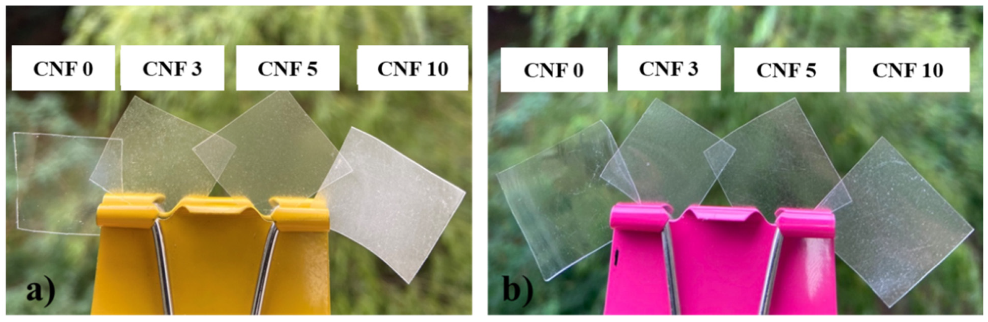 Polymers 13 02990 g003