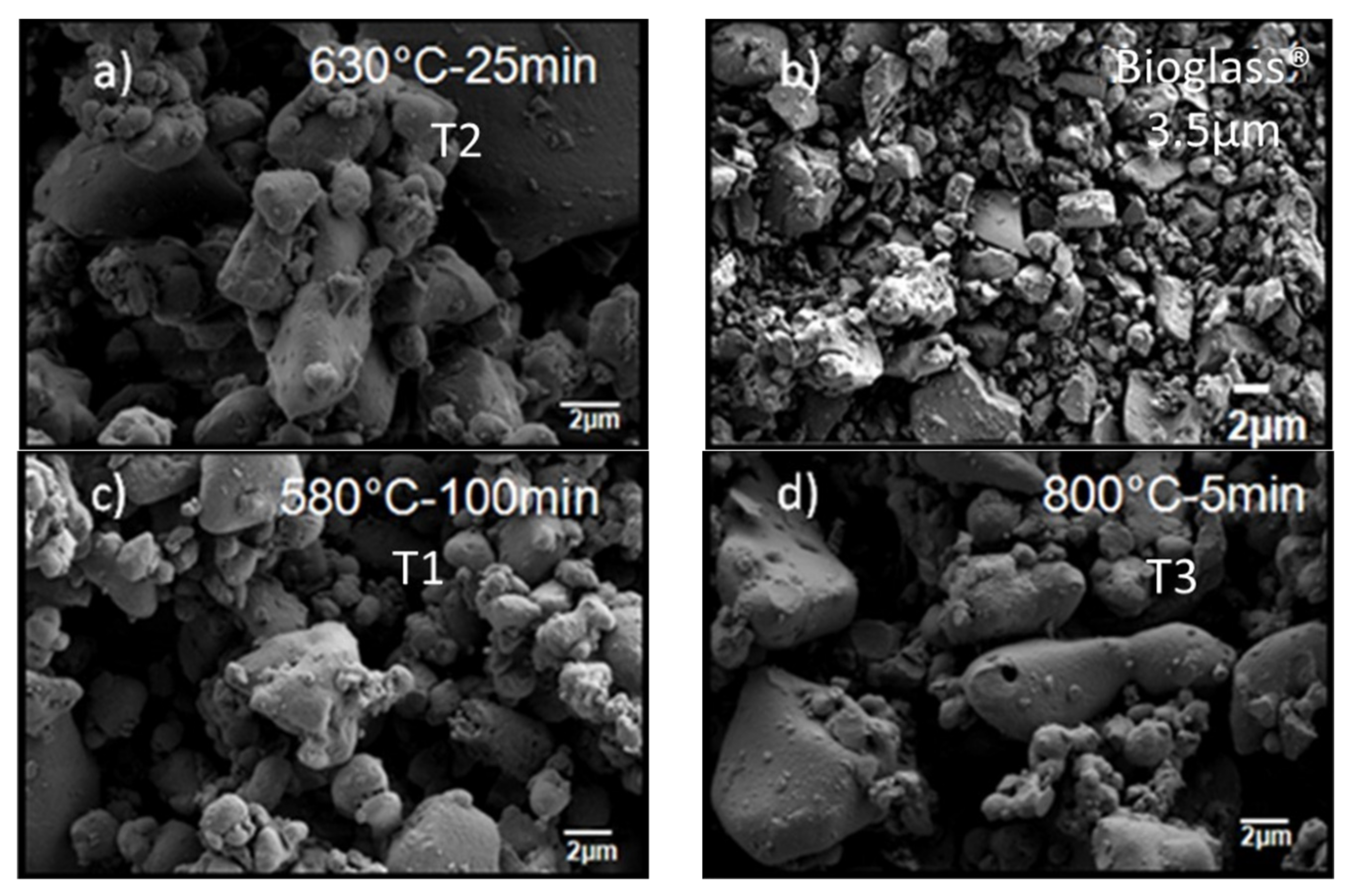 Polymers 13 02991 g002 550