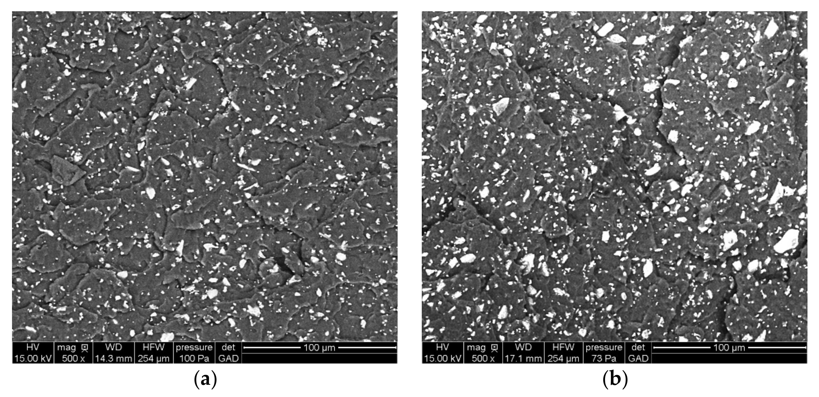 Polymers 13 02991 g003 550