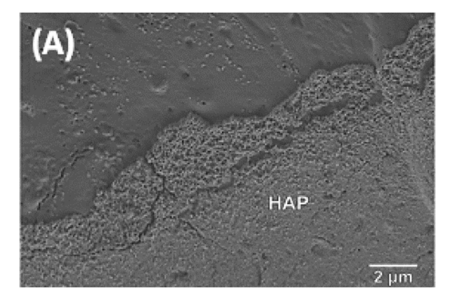 Polymers 13 02991 g014a 550