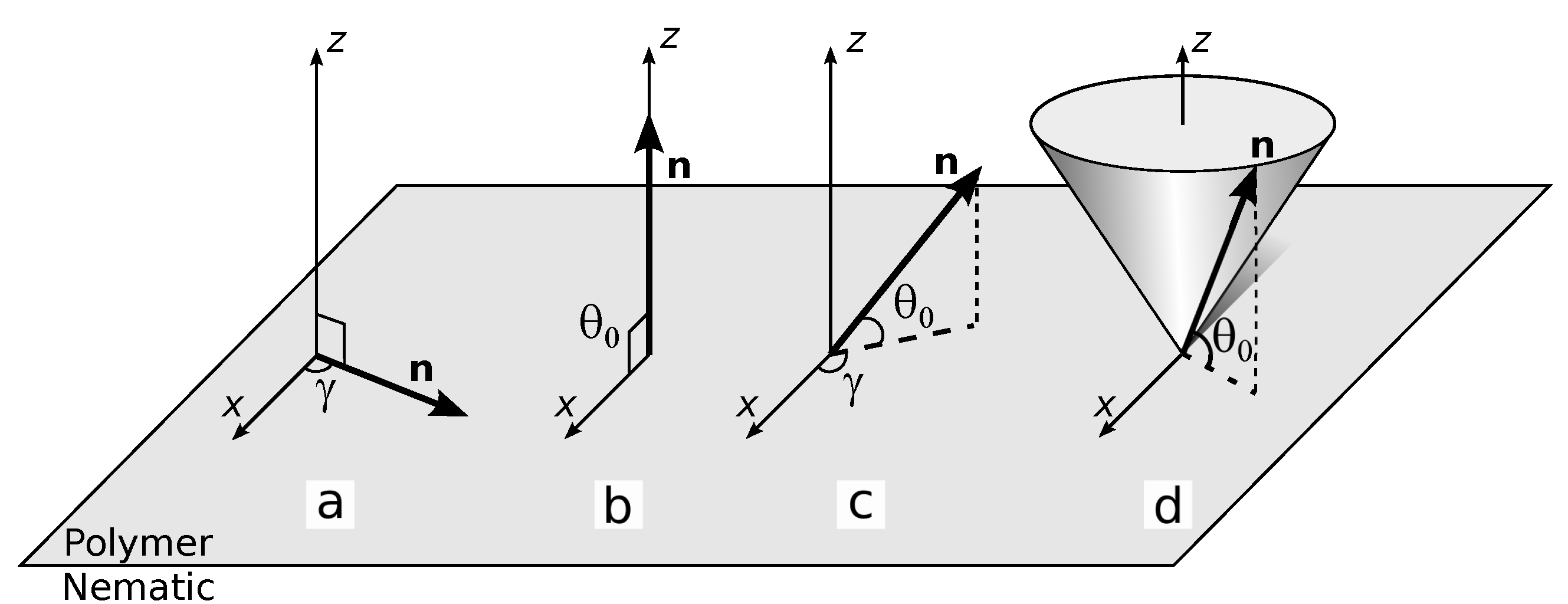 Polymers 13 02993 g001