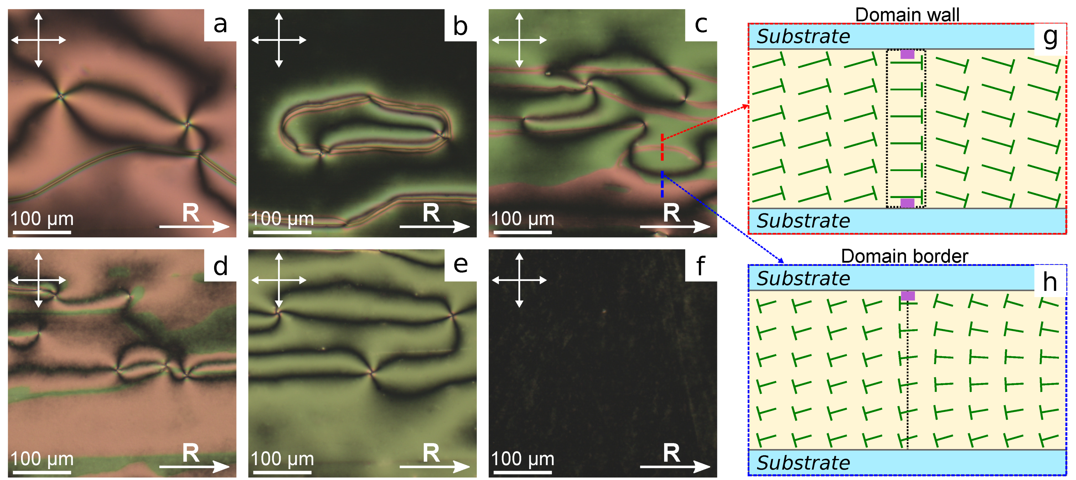 Polymers 13 02993 g003