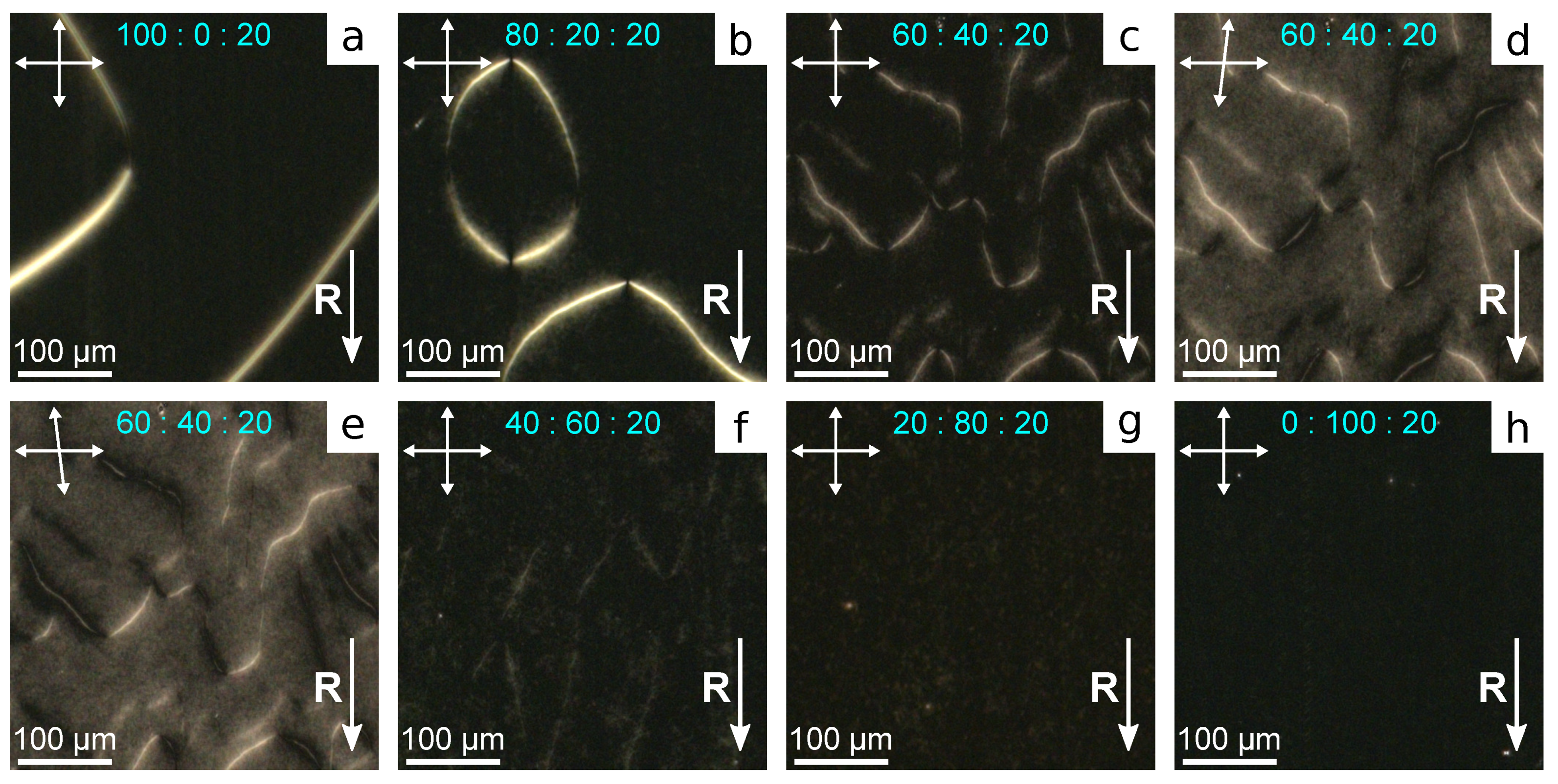 Polymers 13 02993 g004