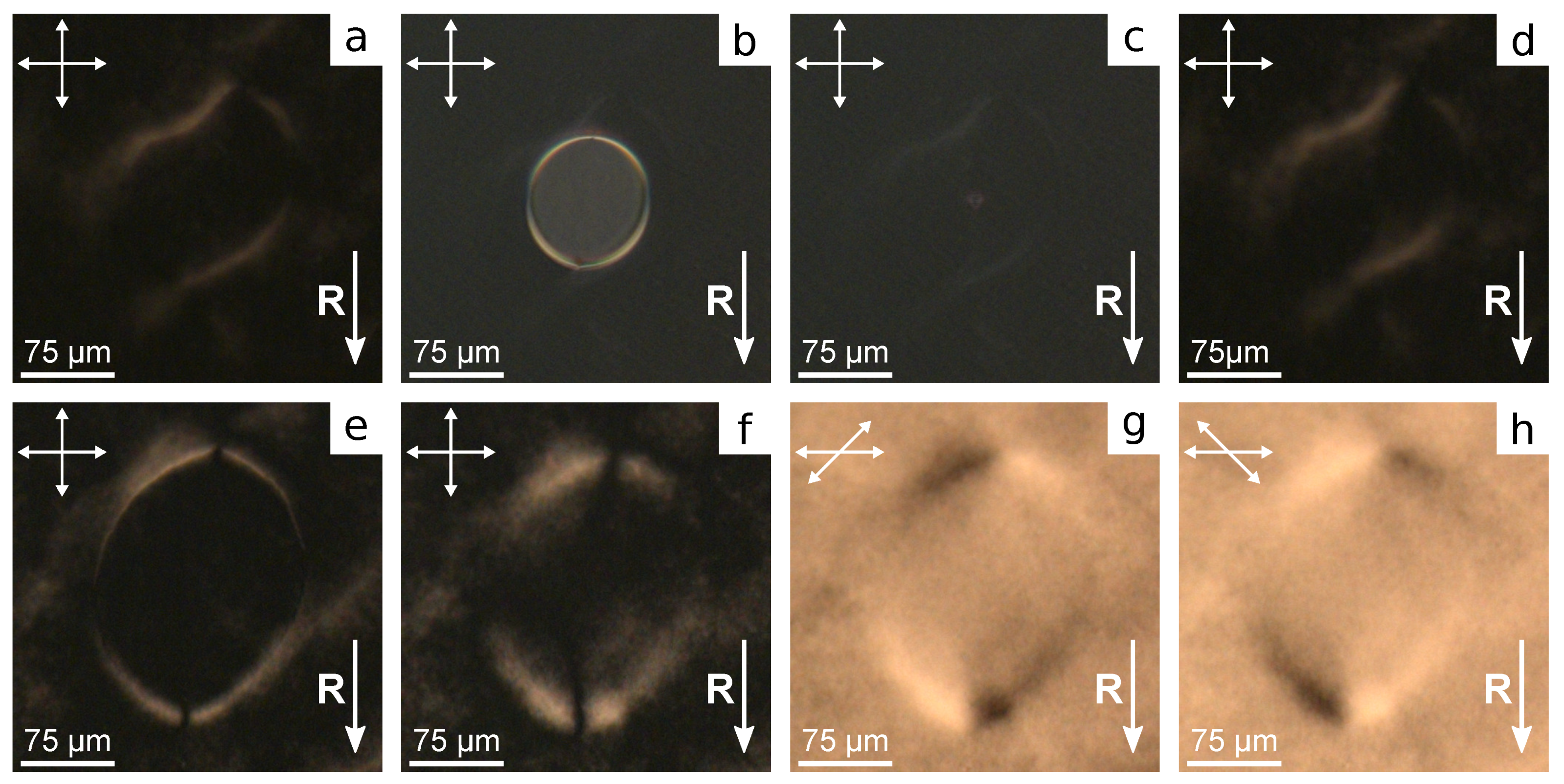 Polymers 13 02993 g005